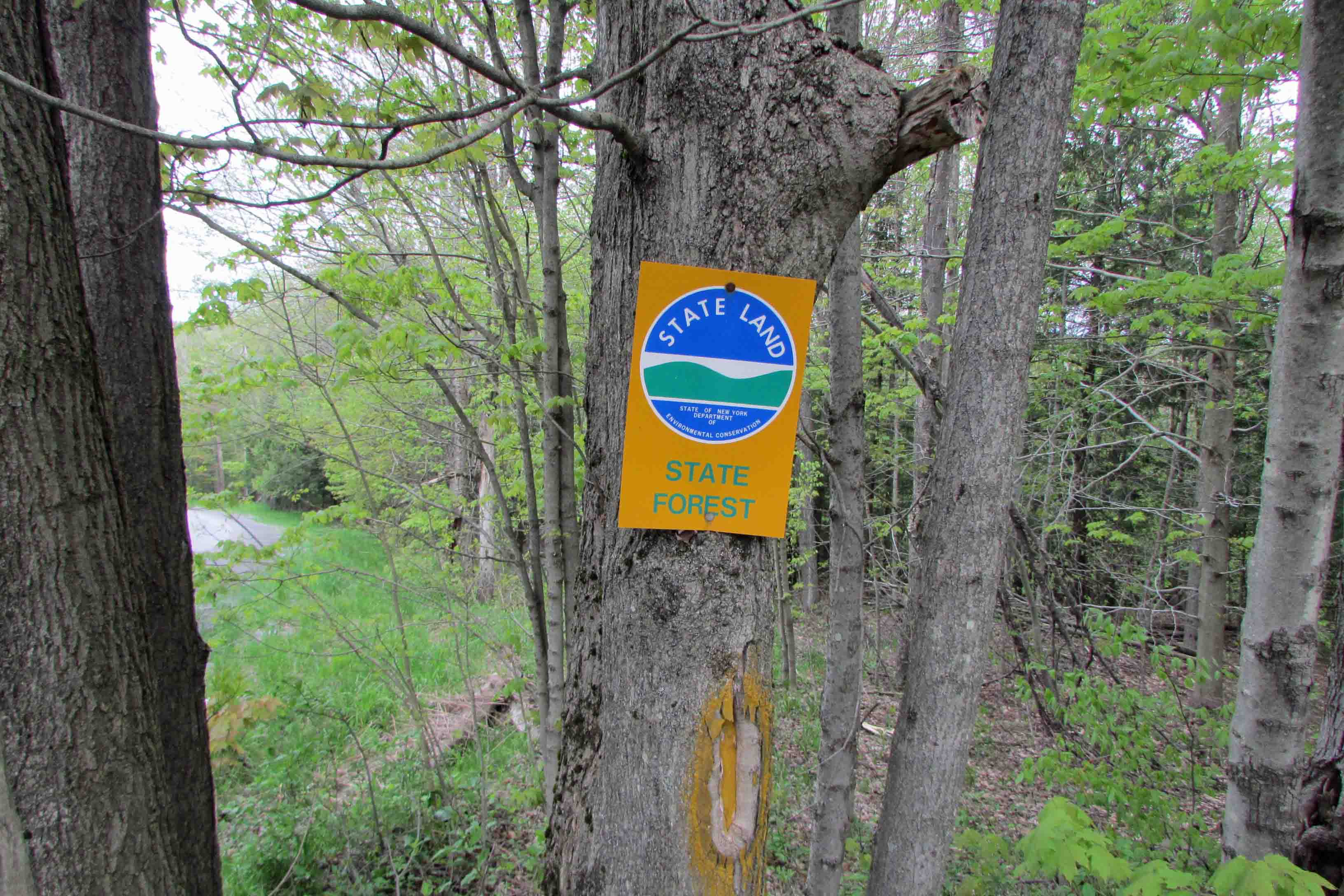 “The Clapper” 1.8 Rustic Acres Jefferson, NY Adjoining Clapper Hollow