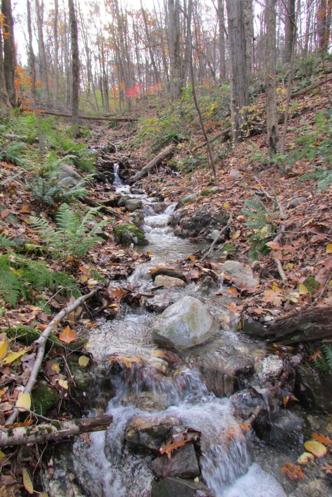 “COLD STREAM LANDING”   1.73 acres Dover Plains, NY, Dutchess – Surveyed – Perc’d – BOH Approved – Stream & Mt views – 90 mins/NYC. Only $29,900!!