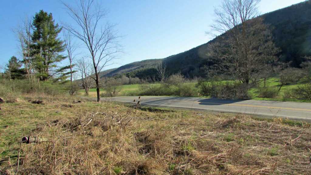 “EAGLES LANDING” For Sale 5.1 Scenic Acres Fulton NY – Cleared home-site – D/W – Electric – Mt views. Mins/State Park. 3 hrs/NYC. Only $22,900!