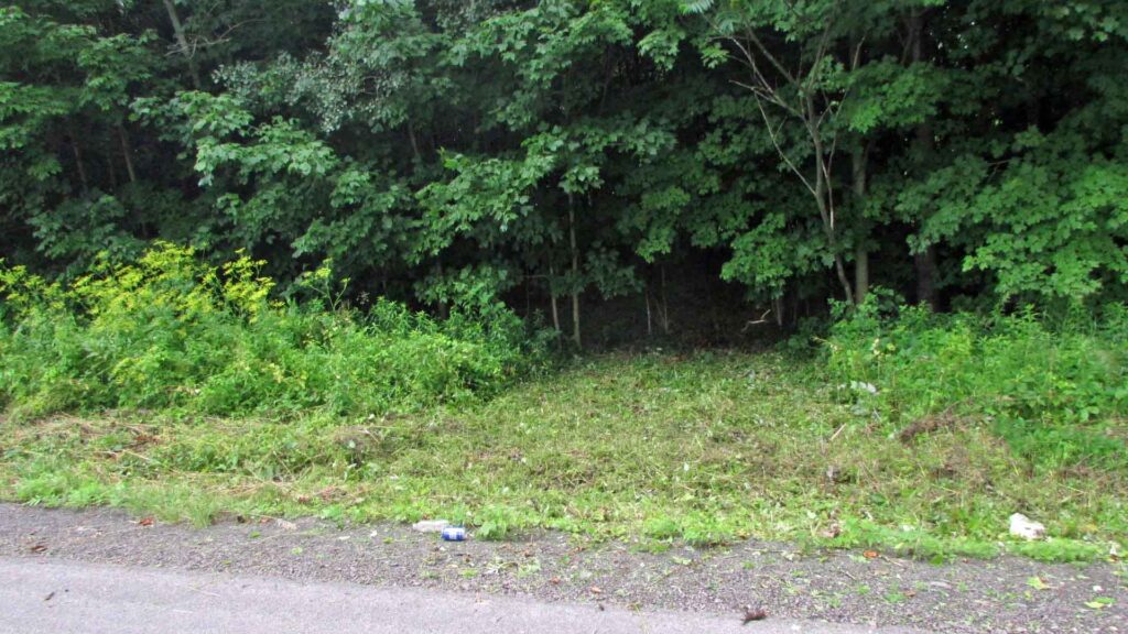 6.5 “BERRY NICE” Acres, Pittsfield, NY – Good road, Mt. views, Woods & clearings, Level to gently elevating, No Zoning, 3.5 hrs/NYC – Only $21,900!