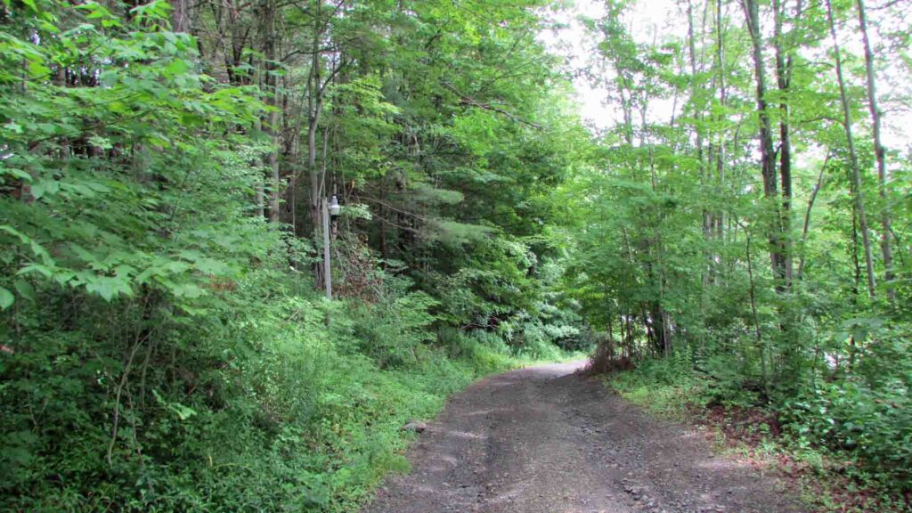 “HAPPY TRAILS” 4.85 Happy Acres, Morris NY Otsego County, Mt views, D/W, Electric, Level & Wooded, RVs OK!! No town zoning. Only $20,900!