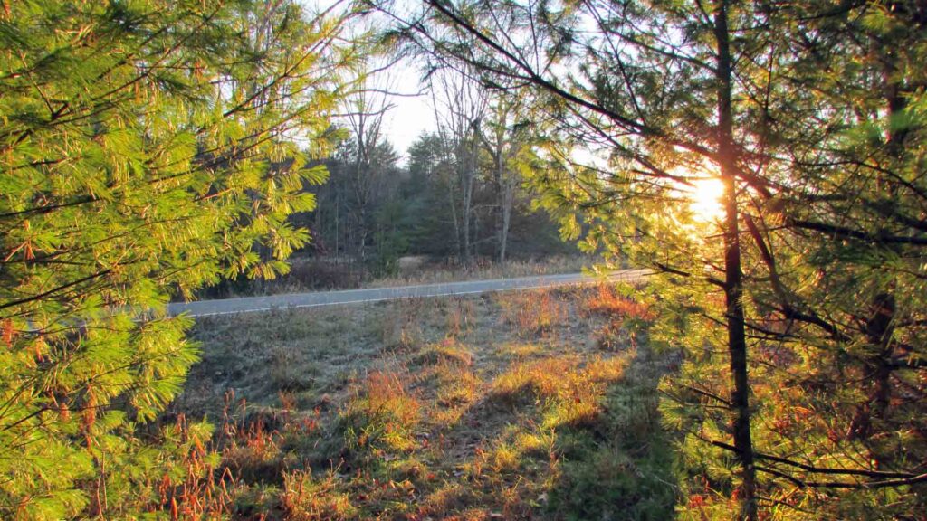 “NARROWSBURG NICHE” 1.4 Acre Building Lot – Level – Water & Sewer Dist. – Part wooded/cleared – Stream – RV OK! – Mt views – Walk to Delaware – 2 hrs/NYC – Only $24,900