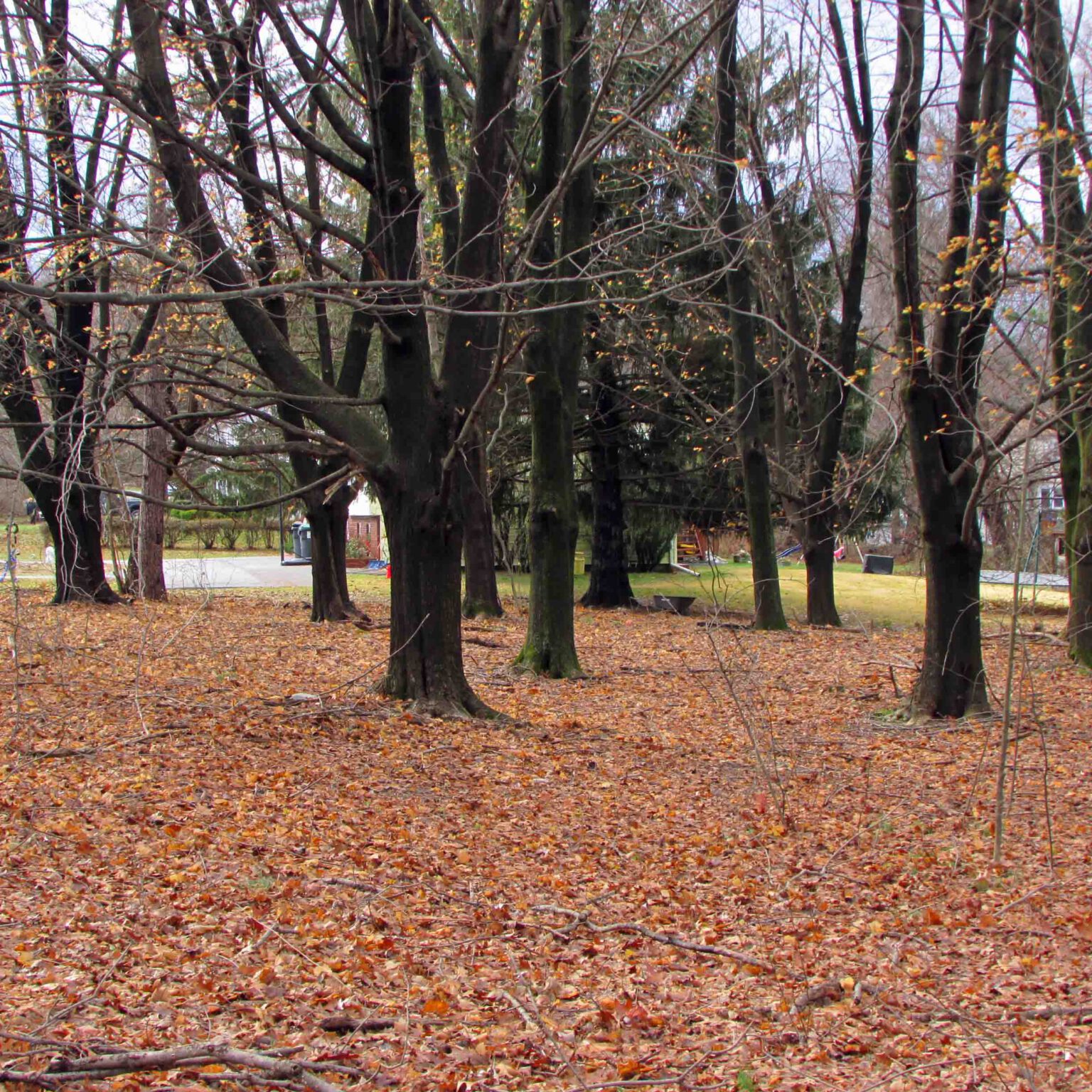 “An American Classic” – .83 Acre Oversized Building Lot – Wallkill, NY – Desirable neighborhood – Mt Views – 90 mins/NYC, Mins/Metro N. – Only $15,900!