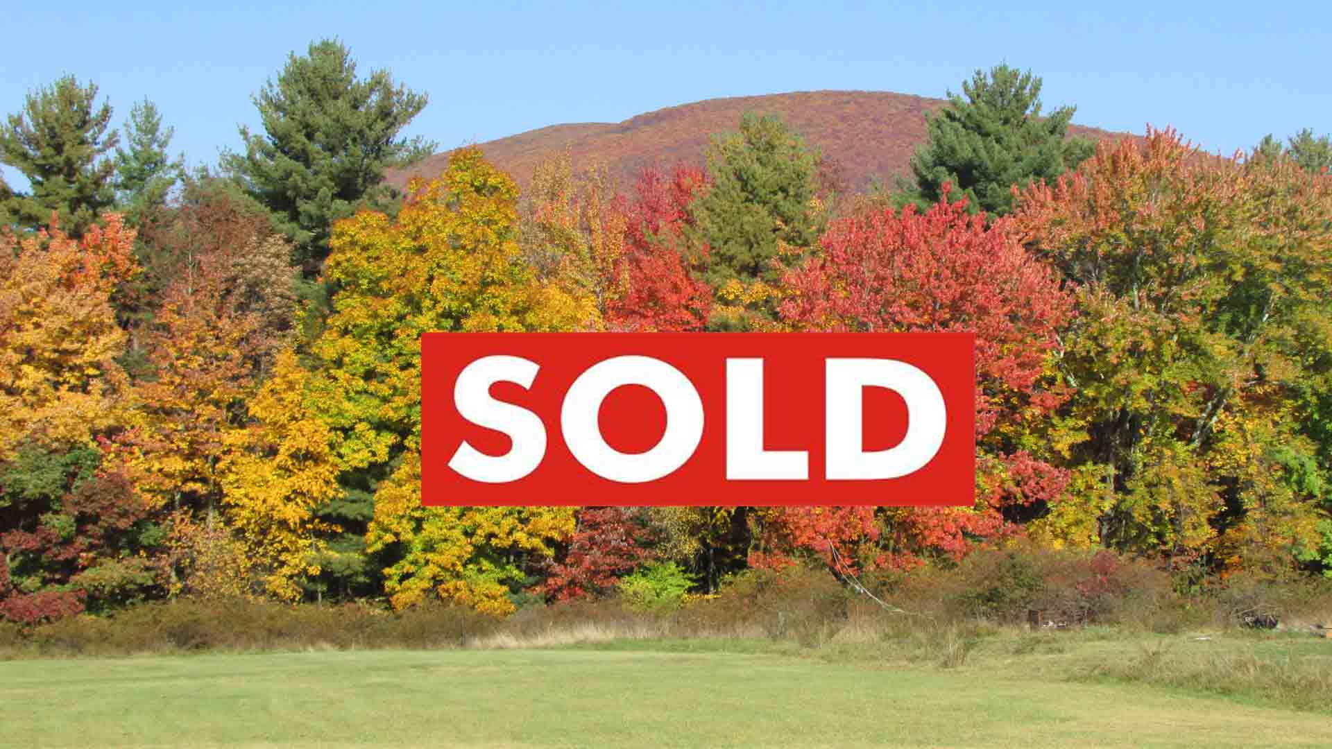 “The Woodlander 2” – For Sale 4.9 Private, Forested Acres, Olivebridge NY. Deeded Access Off the Beaten Path! Mins/Sundown Wild Forest & Ashokan Reservoir. 2+ hrs/NYC. Only $18,900!