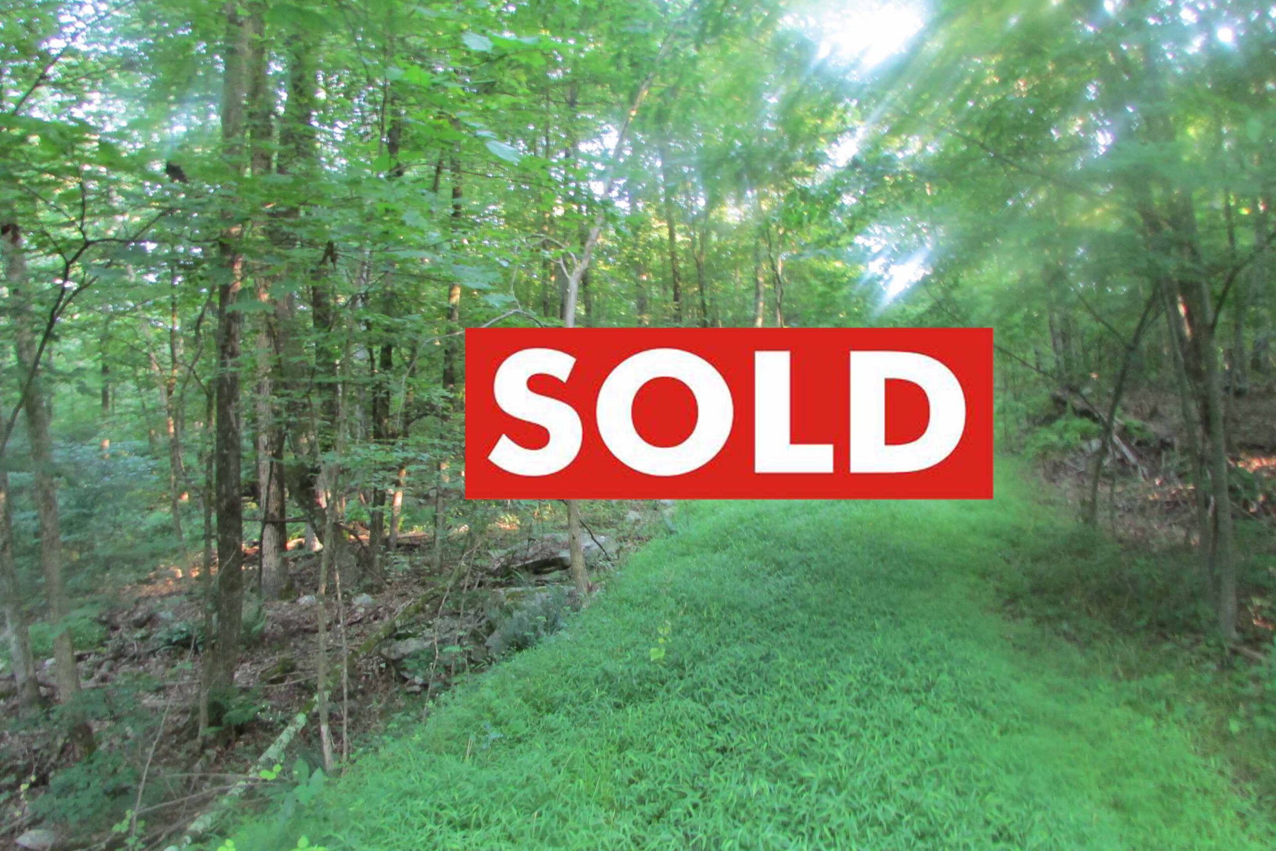 “The LANDING” – 10 Bucolic Acres, Plattekill NY – Level, wooded, electric, driveway – Great location. Mins/New Paltz! Under 2 hrs/NYC! Only $43,900!