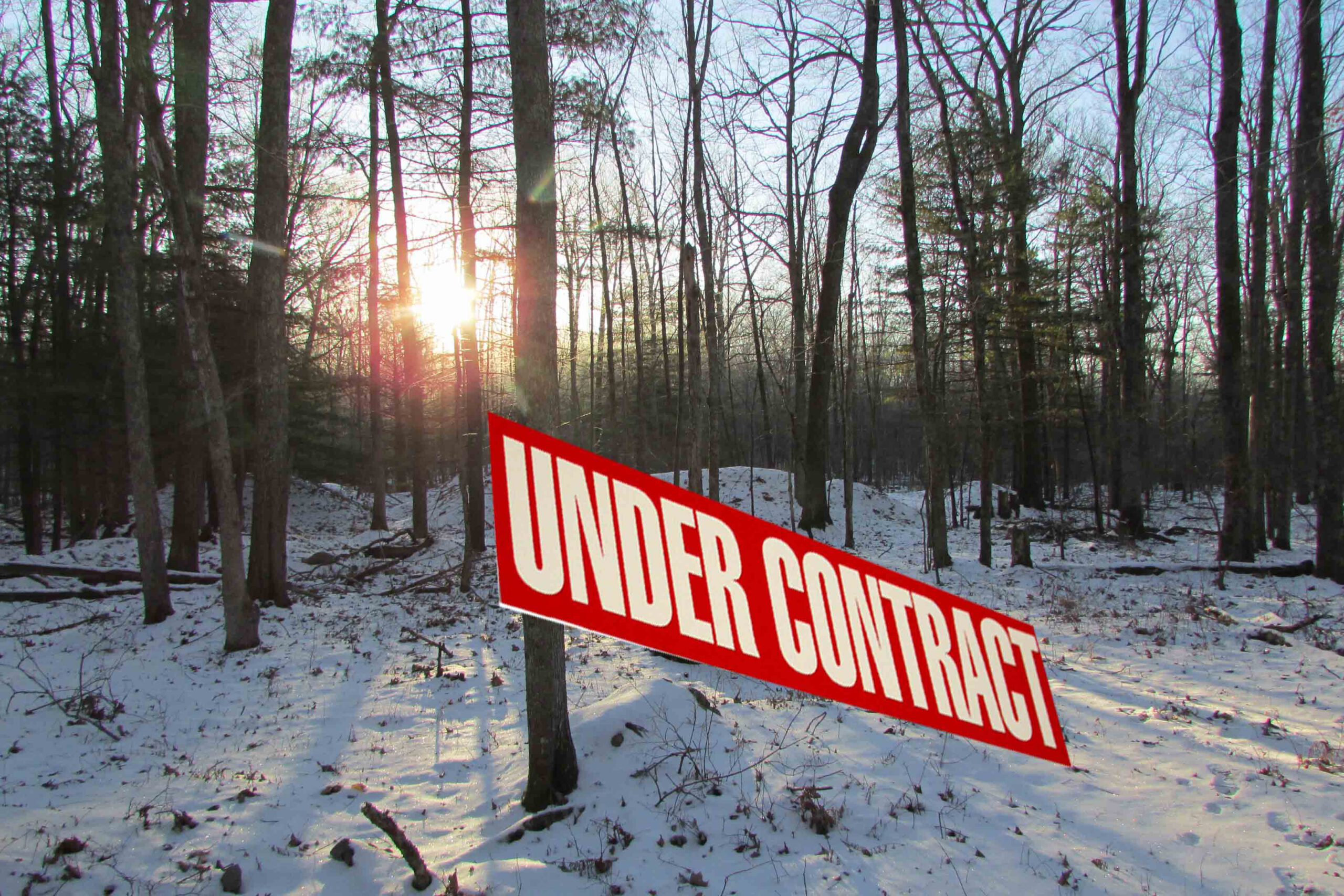 “EASY LIVING” in Barryville. 5.5 Bucolic Acres – Level – Driveway – Electric – Mins to Delaware – 2 hrs/NYC – Only $21,900!