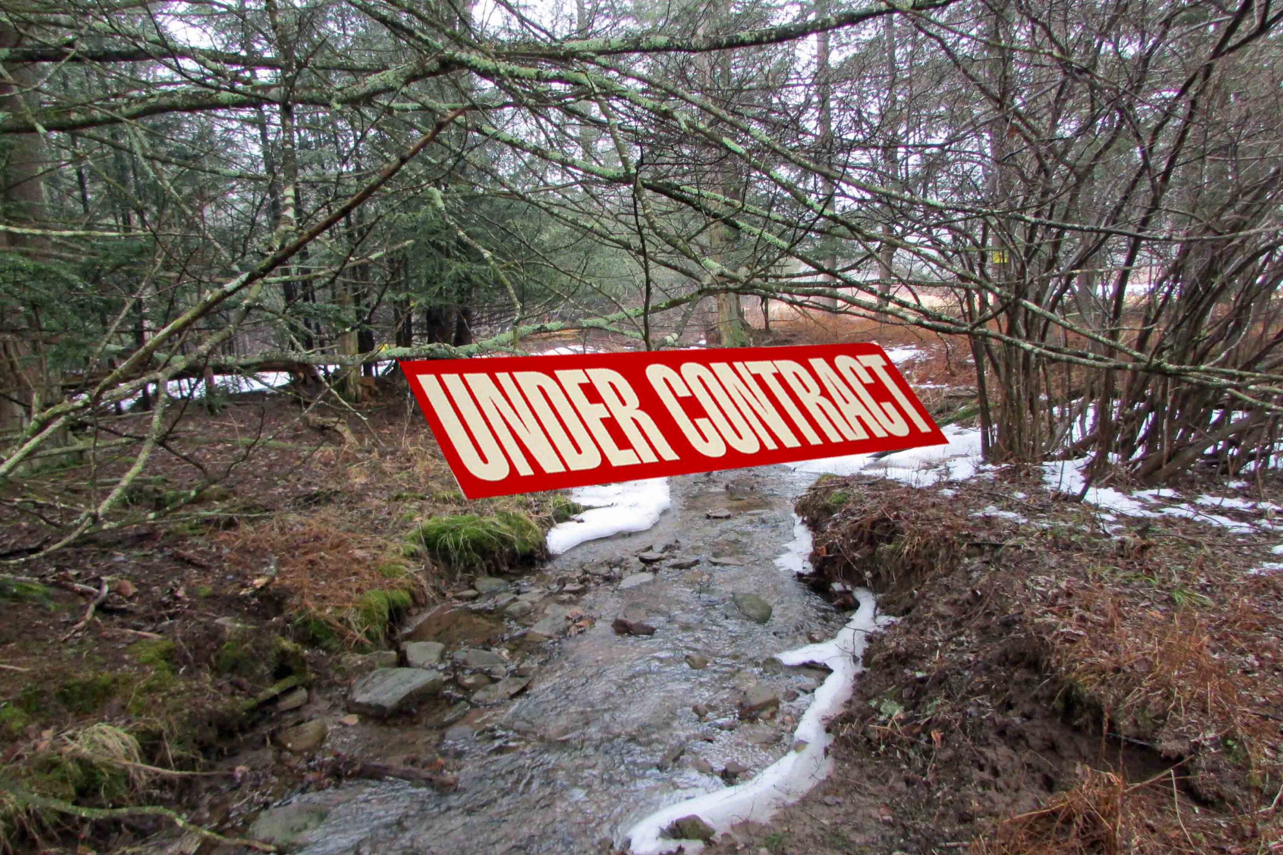 “The Heartland” of Hurleyville – 5.5 Level, Country Acres – Sparkling Stream – Driveway & Electric – 2 hrs/NYC – Only $21,900!
