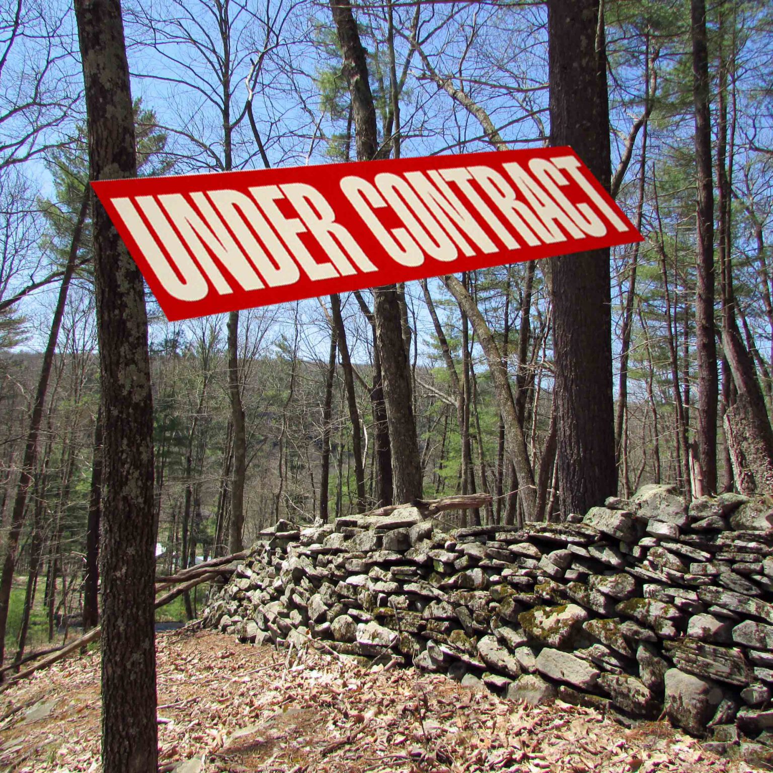“The WET & The WILD” 1.6 Rugged Acres in Pond Eddy NY – Mt views – Walk to Delaware River – 2 hrs/NYC – Only $13,900!