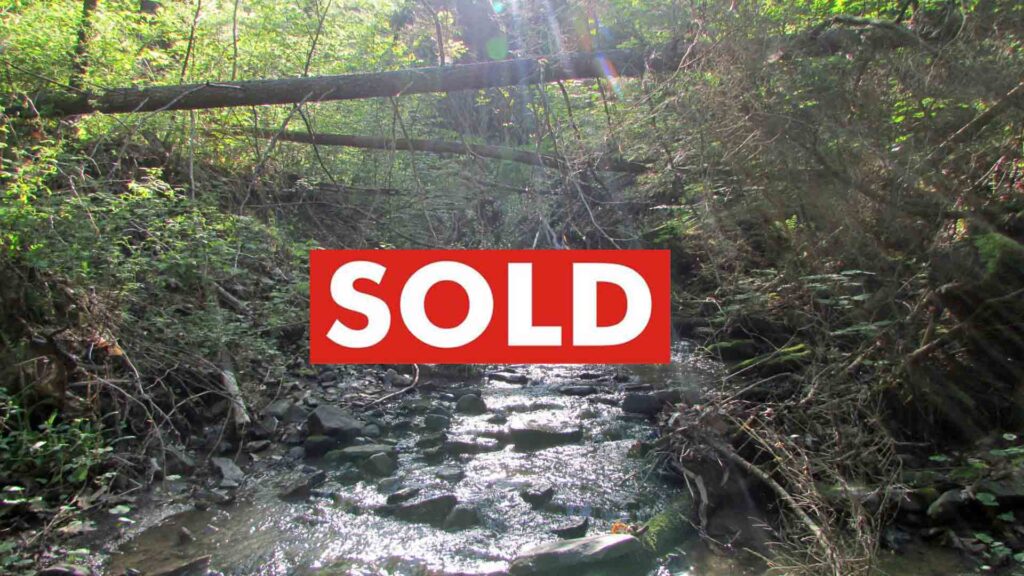 “FLAT CREEK” LANDING – FOR SALE 10 TOTALLY SECLUDED  ACRES MIDDLEBURGH, NY Rambling Creek. Private road access. Electric in area. RVs permitted!!! Only $23,900!