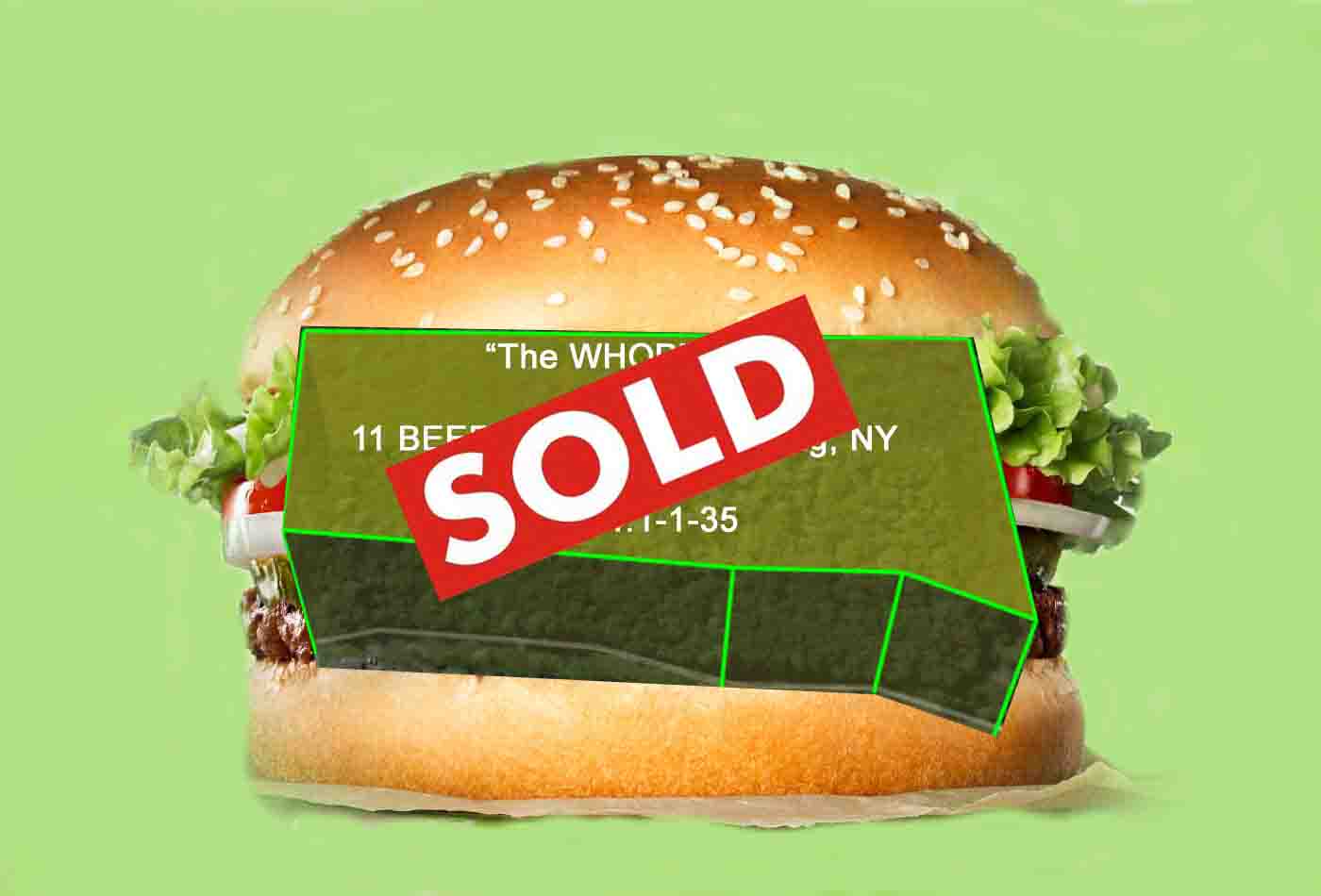 “The Whopper” – 11 Beefy Acres, Wawarsing NY – Peaceful Country Setting- Mt views – Electric – 1/4 Mile Rd frontage – Only $27,900!