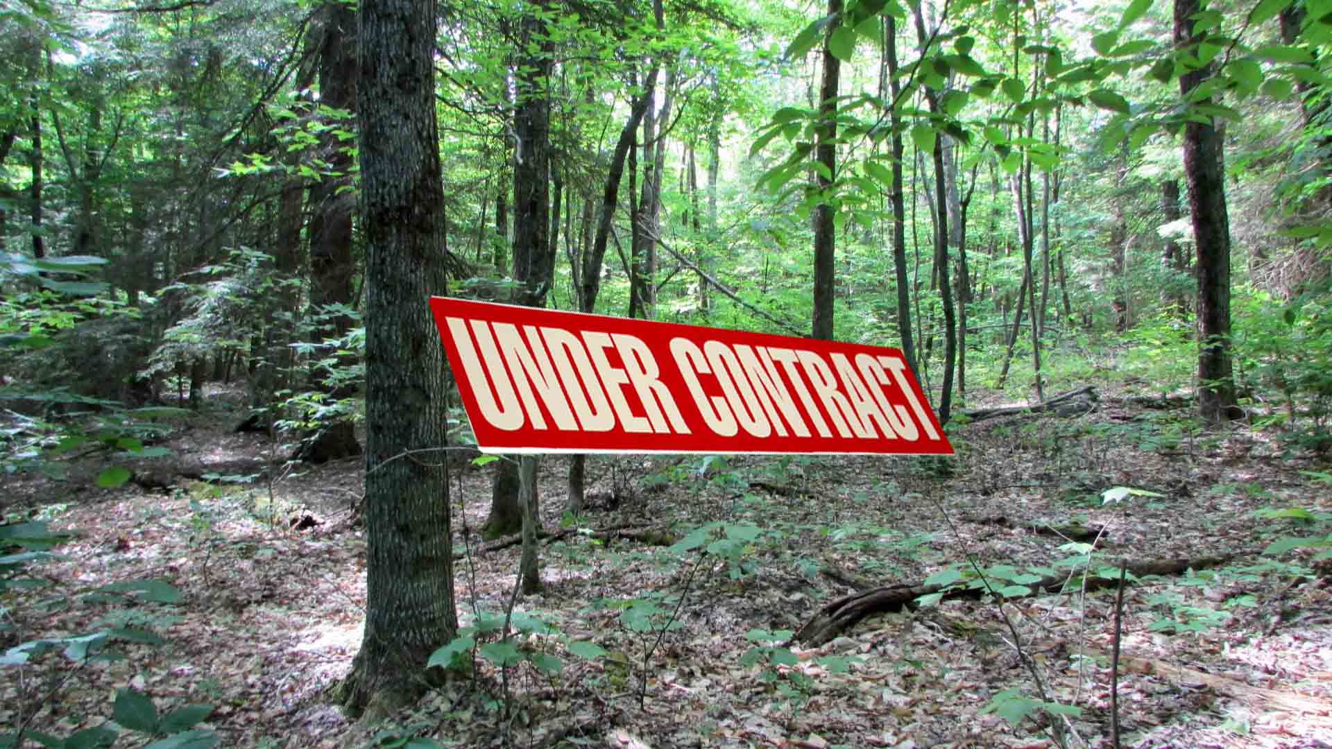 “FULTON FLATS” FOR SALE   7.3 Country Acres Fulton NY – Private Rd. – No town zoning – RVs OK!! -Walk to State Forests – 3 hr/NYC – Only $20,900!