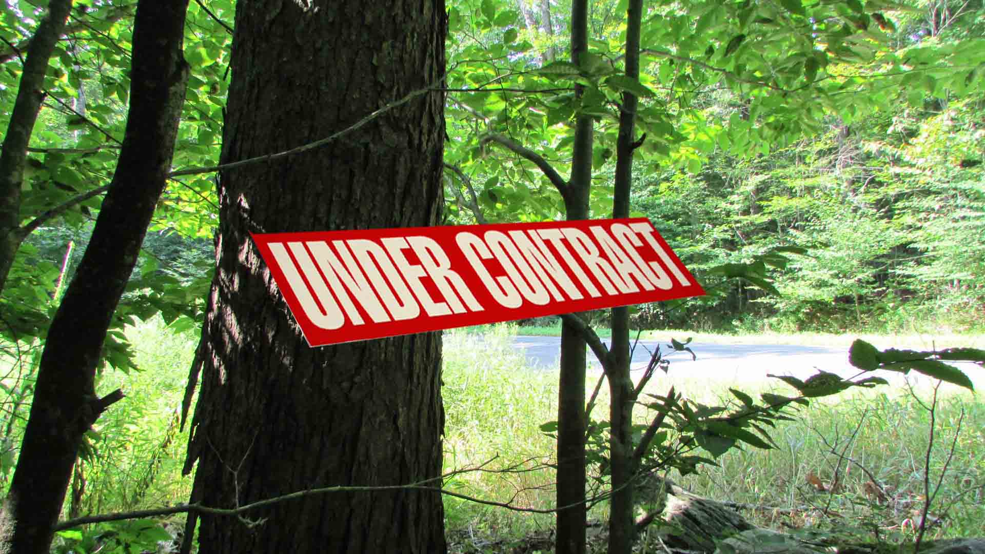 Starlight Pines – 5+ Country Acres w/Rights to Swinging Bridge Lake. 90 miles/NYC. Great loc. Only $27,900!