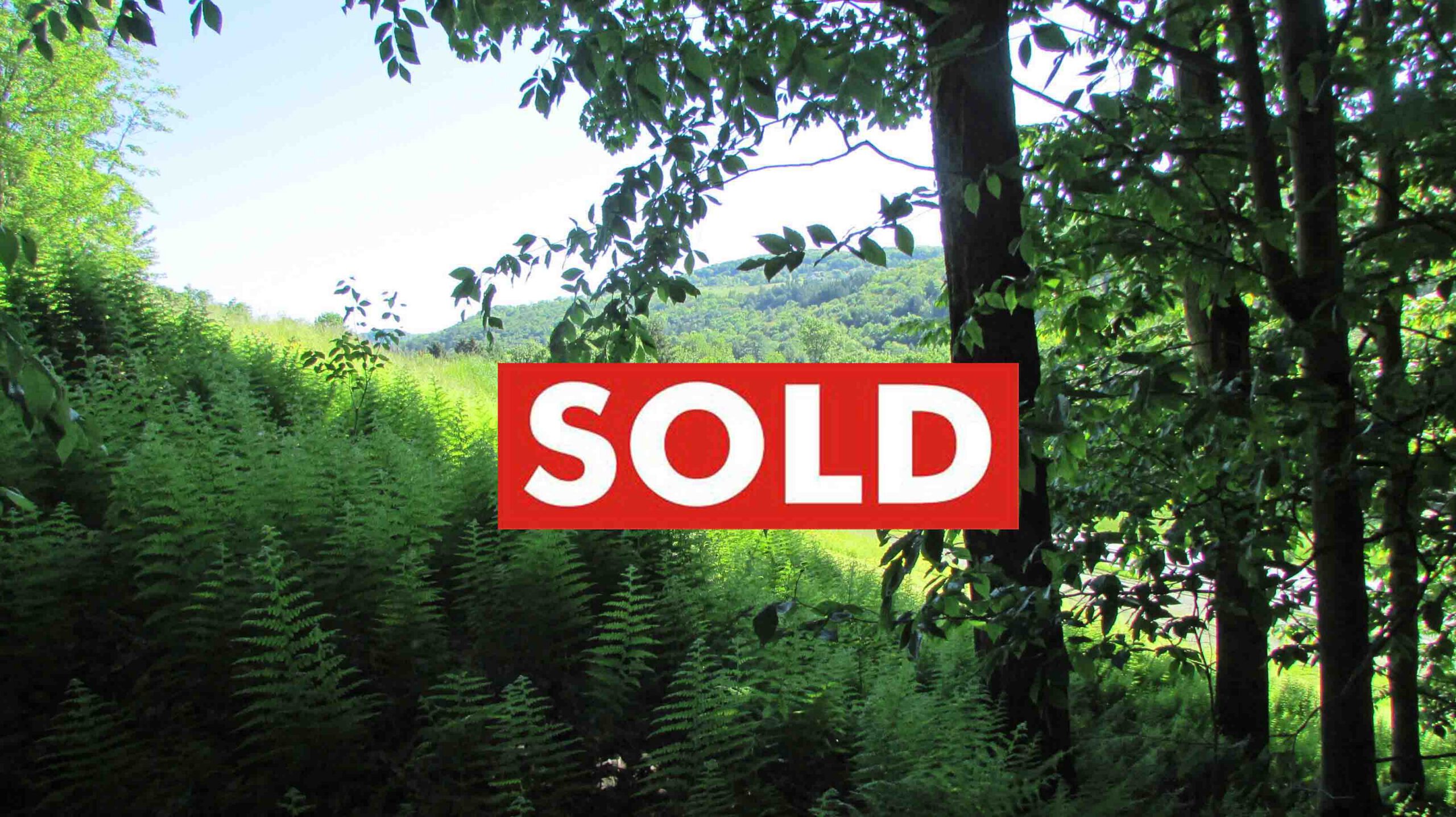 NO MONEY DOWN!!! 2.6 SPRAWLING Acres  Callicoon, NY – MT view – Maintained road – Electric – 2 hrs/NYC – Mins/Delaware River –   Reduced $11,900!!