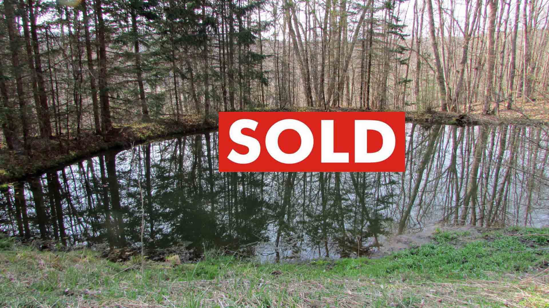 “REFLECTIONS” 5+ Scenic Acres, Summit NY – Spring fed Pond – Mt Views – Woods & Fields – RVs OK – Only $23,900!!