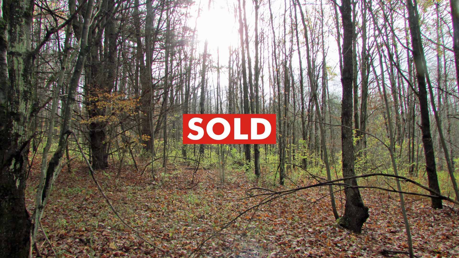 “Rosey’s Retreat” 2.5 Bright Country Acres, Roseboom, NY, Otsego County – Level – Stream – Electric – No town zoning – 3+ hrs/NYC – Only $15,900!