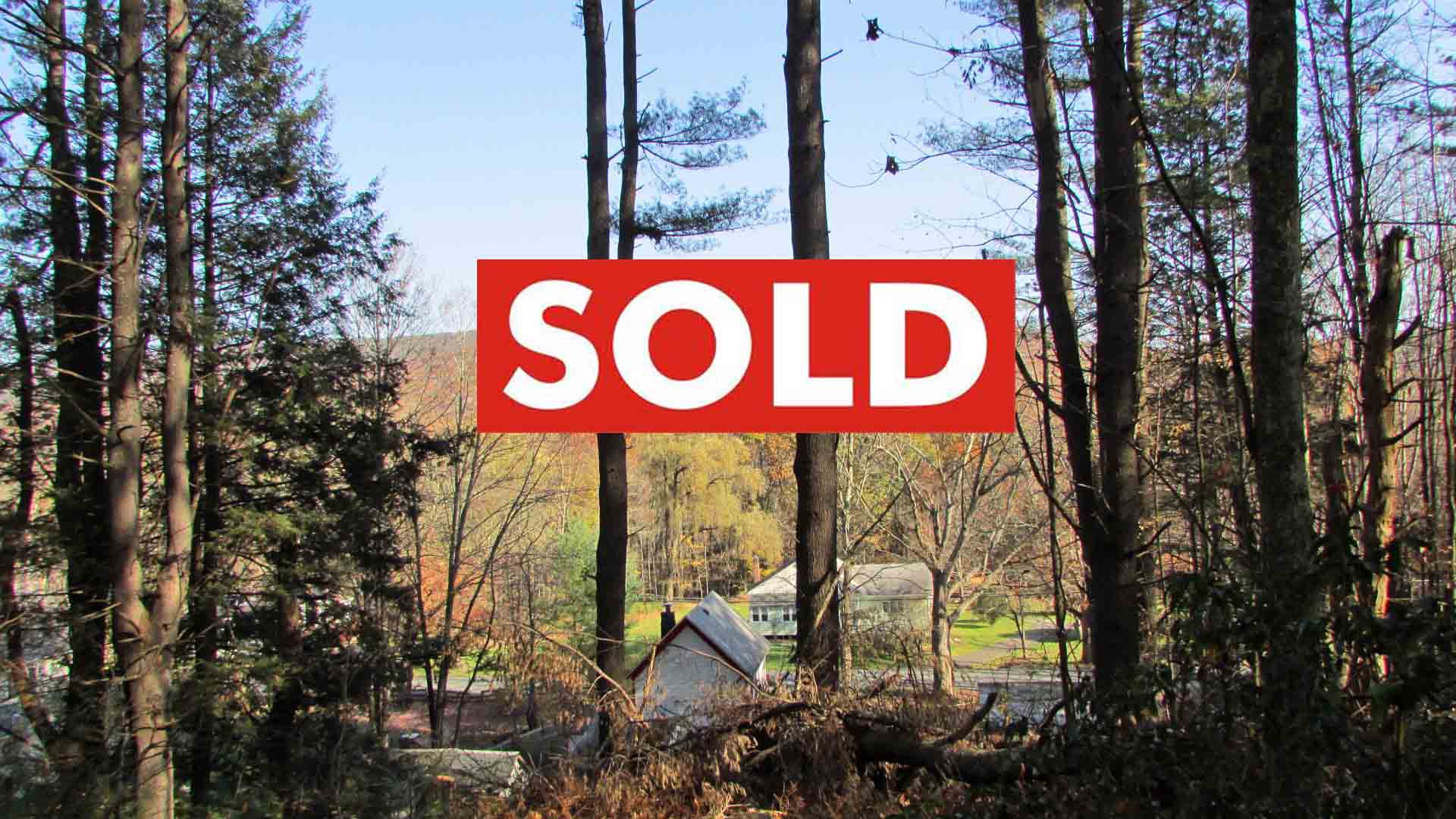 “NEW HORIZONS” For Sale -.79 Acre Oversized Building Lot Wurstboro NY Sullivan County – Mt views, Older well – Driveway. 90 mins/NYC  – Only $13,500!