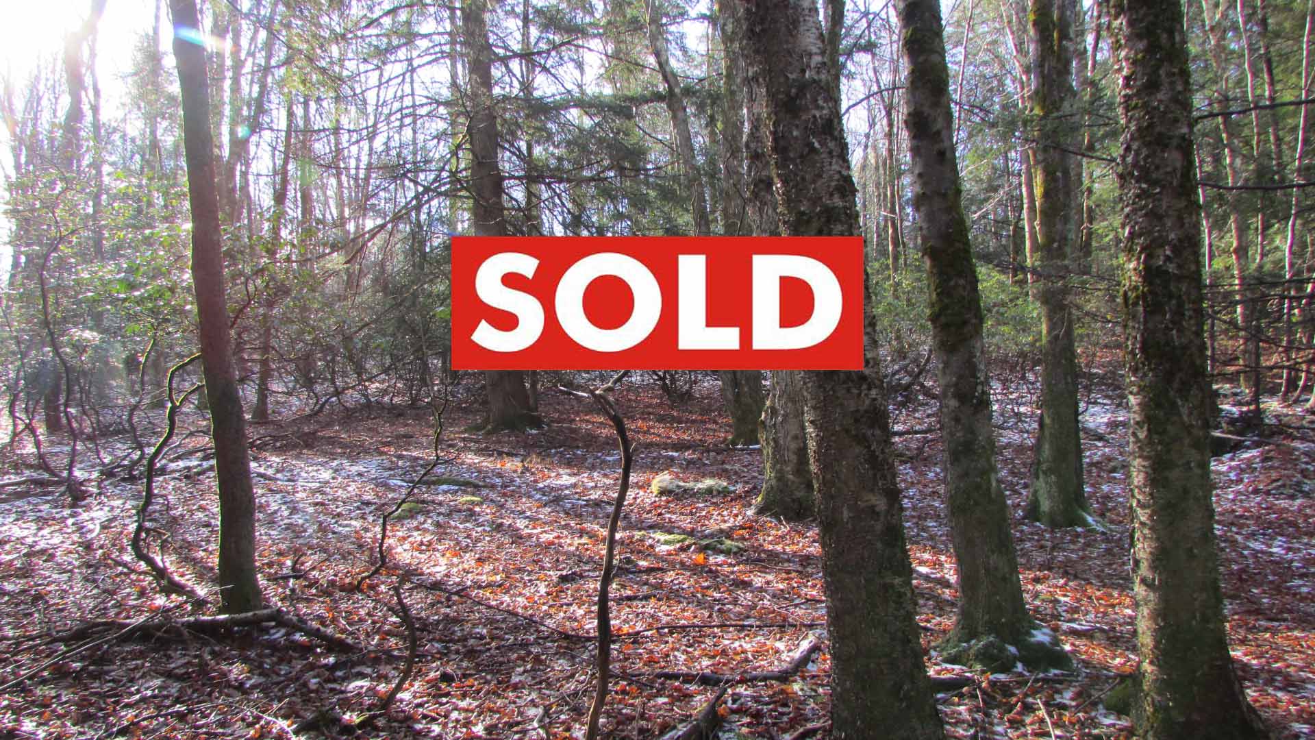“SILVER LINING” 1.78 Lush Acres, Hurleyville, NY – Level – Wooded – Electric at rd – Great Loc – 2 hrs/NYC – Only $13,900!