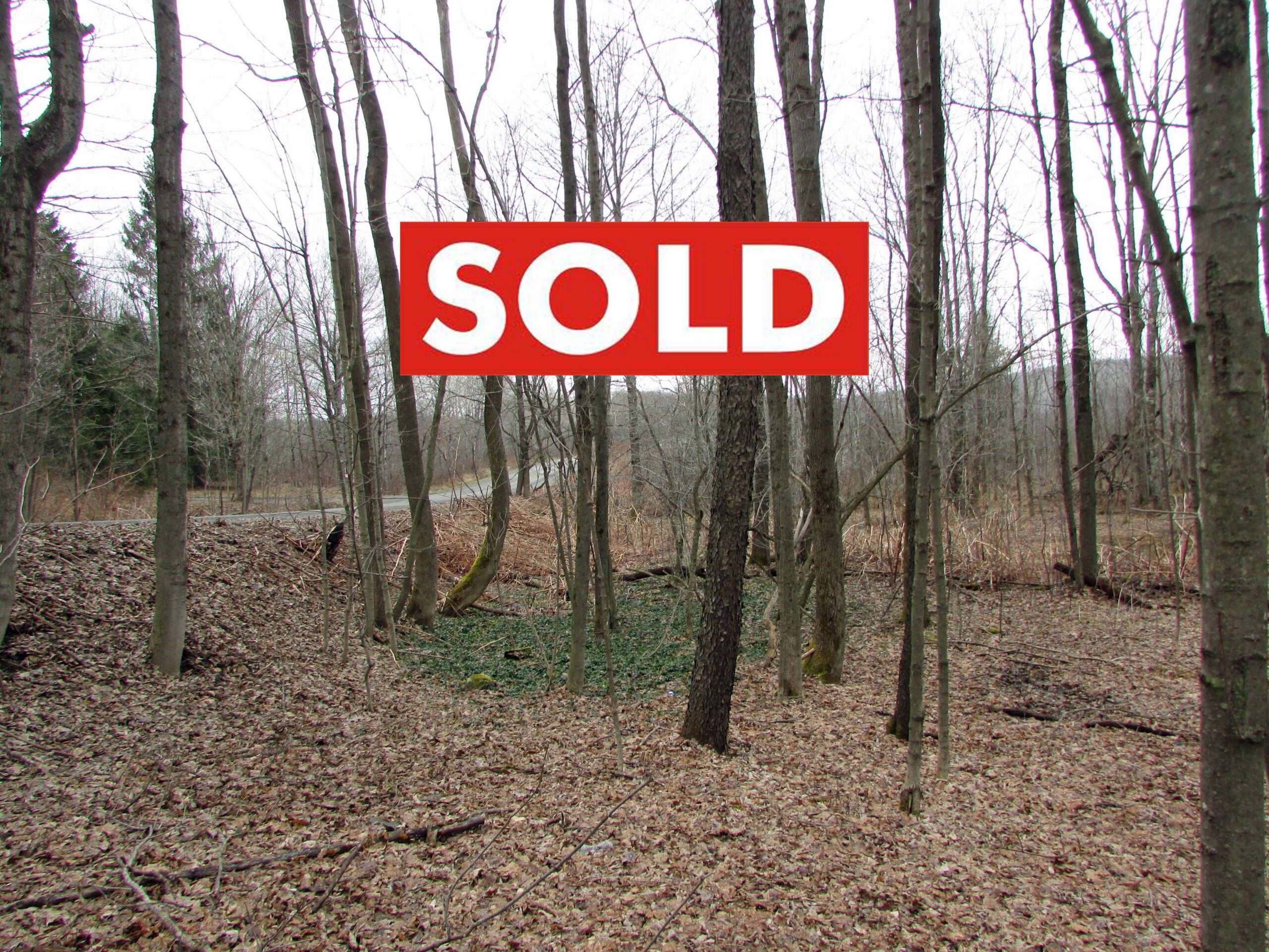 “SALLY’S CHOICE” – 1.75 Choice Acres Pharsalia, NY Chenango County – Level & Wooded – Mt views – Walk state land – No restrictions – 3.5 hrs/NYC – Only $14,900
