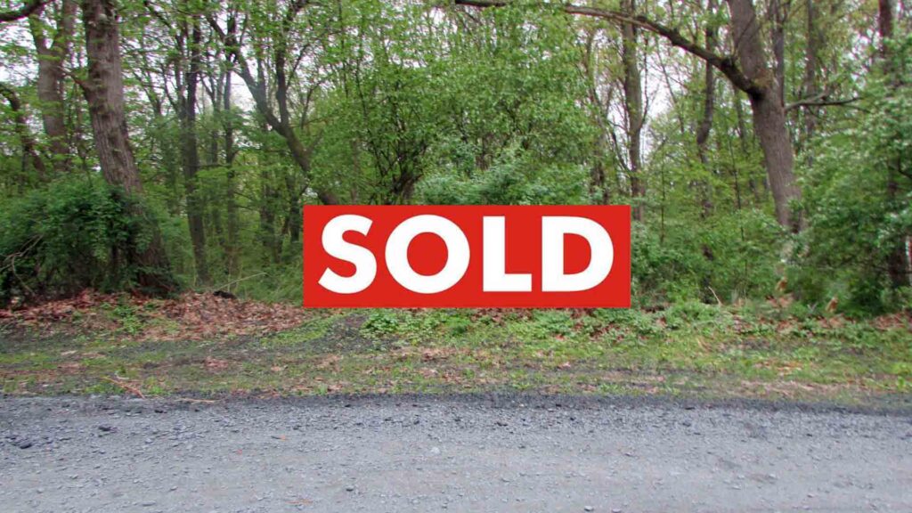“The LOOP”  75 X 175  Secluded, Building Lot Plattekill, NY – Level, Wooded – 90 mins/NYC! Mins/Metro North! Only $13,900