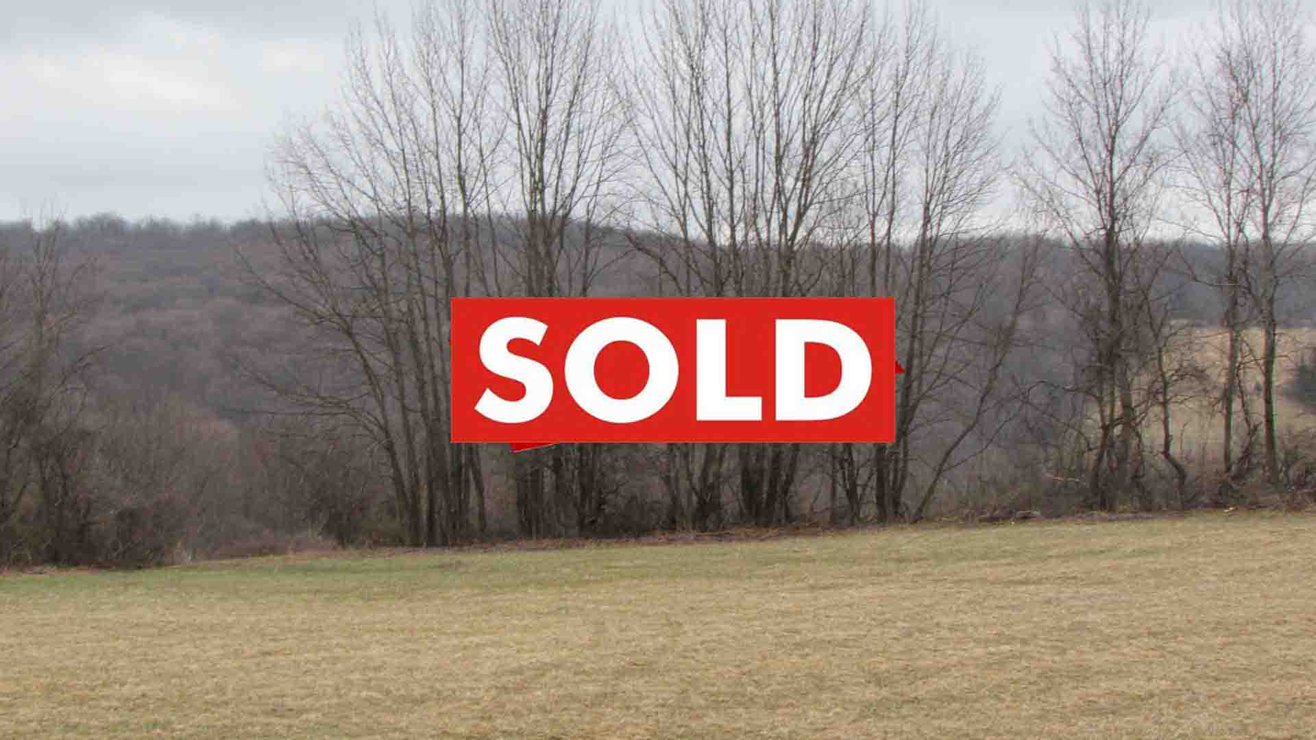 The “PROMISED LAND” – 3.5 Choice Acres – Plymouth NY – Level & Cleared – Mt Views – Pond – No Zoning Restrictions – 3.5 hrs/NYC – Only $19,900!