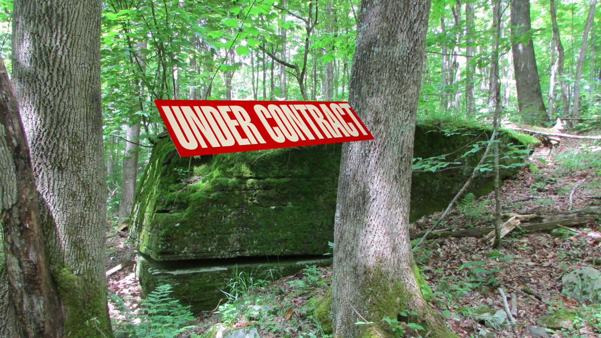 “SWEET EVIL” – 5.5 Private Acres Conesville NY – Level/Wooded – No restrictions – 30 mins/Windham – 3 hrs/NYC – Only $21,900!