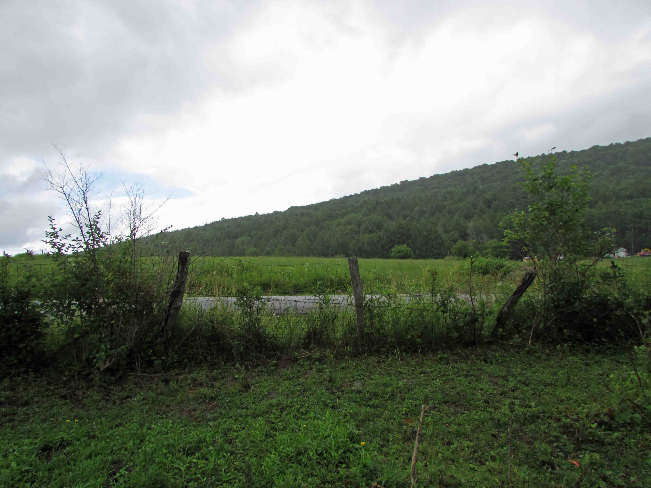 “SHADY FLATS” 2.42 Country Acres – Level – Woods & fields – Mt views – Good road – Fence – Electric – No zoning restrictions – Only $15,900!