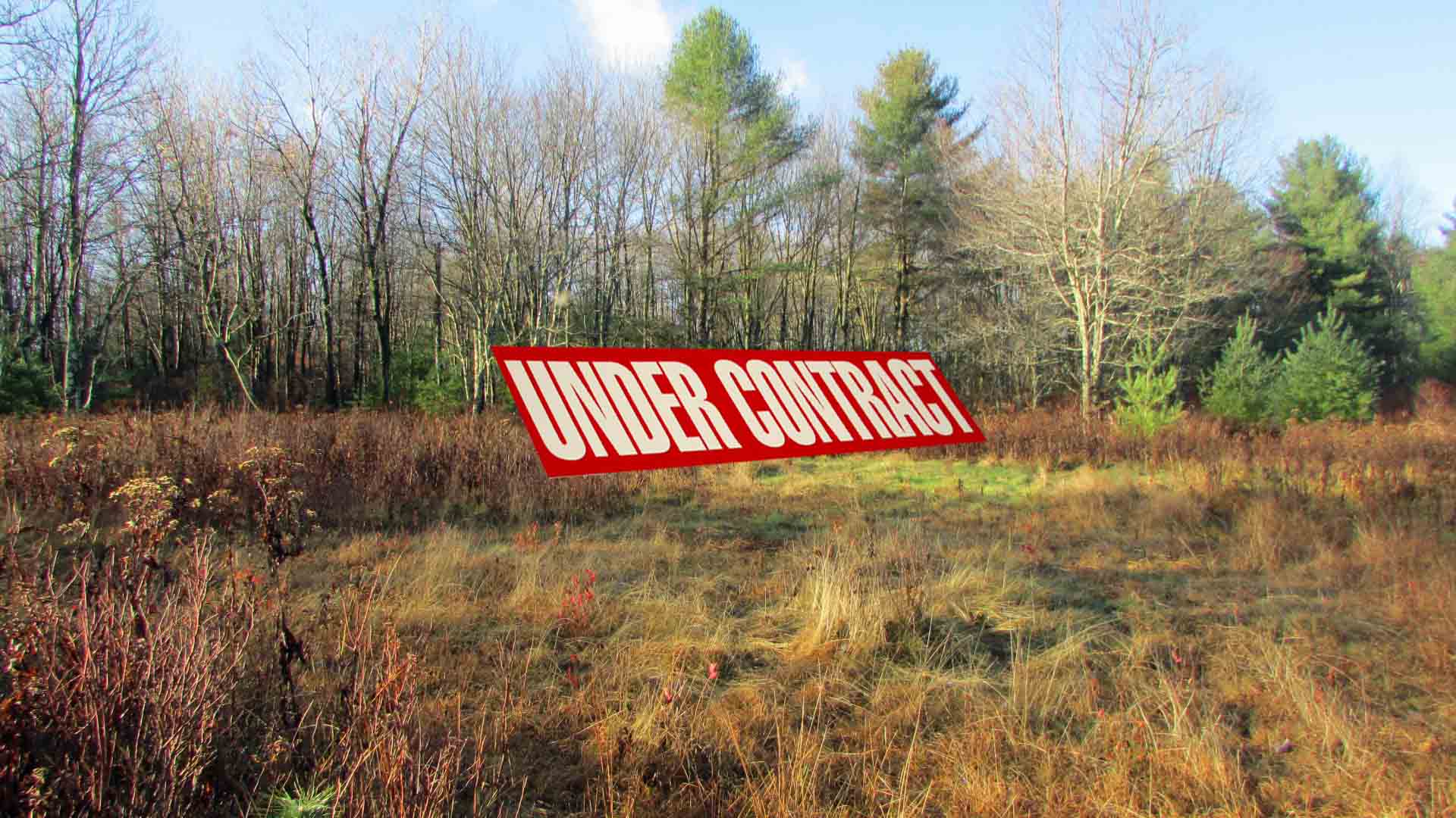 “MORNING MIST” – 1.9 Private Acres – Thompson NY – Level – Part Clear/Wooded – Deeded ROW – 2hrs/NYC – Only $16,900!