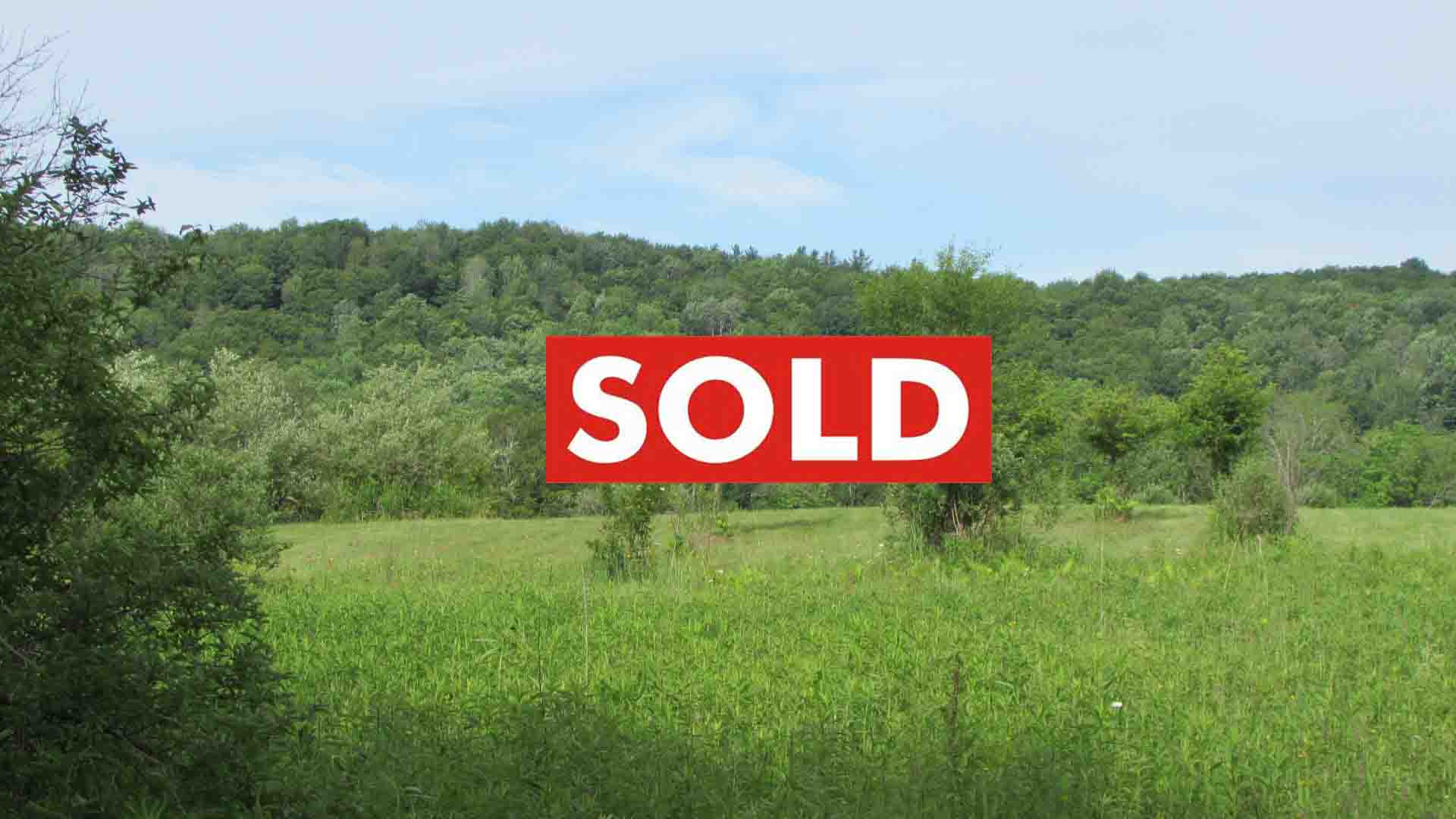 2.56 Acres of “ESCAPE ROOM” – Town of German – Level – Cleared – Surveyed- Adjoins state forest – Mt views – 3+ hrs/NYC – $15,900!