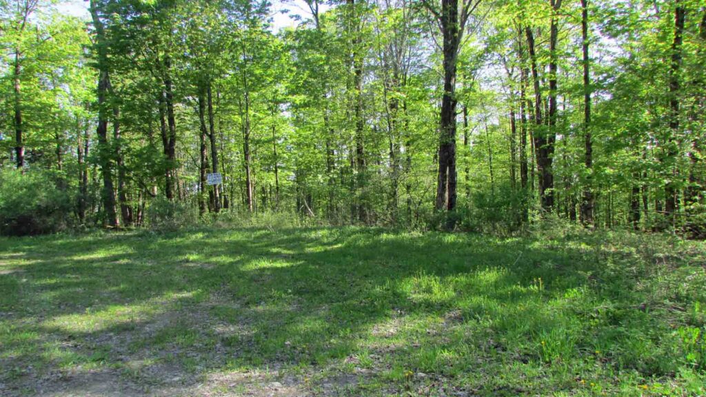 “WOODPECKER WAY” 5.4 Private Acres, Smyrna, NY, Level to Rolling, Wooded, Seasonal rd, Ideal Off-Grid cabin or Hunting Camp, 3+ hrs/NYC, Only $22,500!