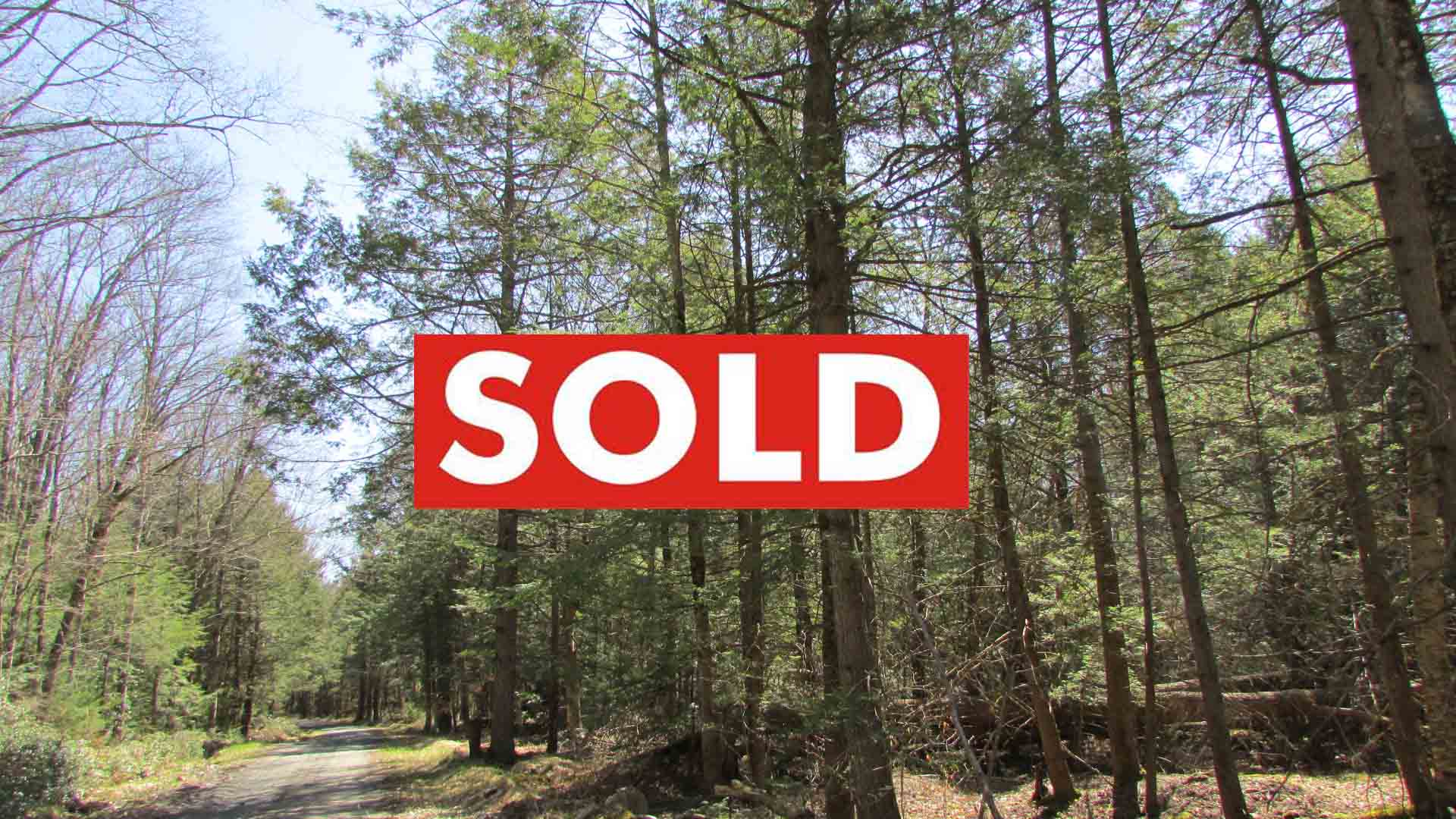 “SWEET SPOT” – 2.97 Sweet Country Acres Ulster County – Level – Wooded – Stream – Across for DEP Land – 2 hrs/NYC – Only $29,900!