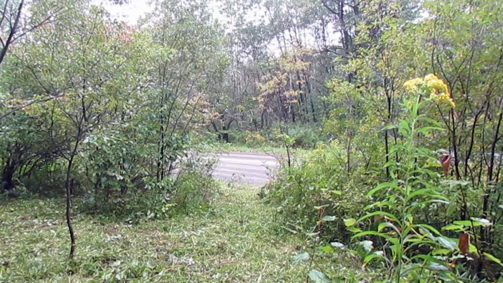 “Cherry Valley” NY – 2.9 Private Country Acres, Otsego County – Level to Rolling Terrain –  Electric – No town zoning – RVs OK! – 3+ hrs/NYC – Only $15,900!