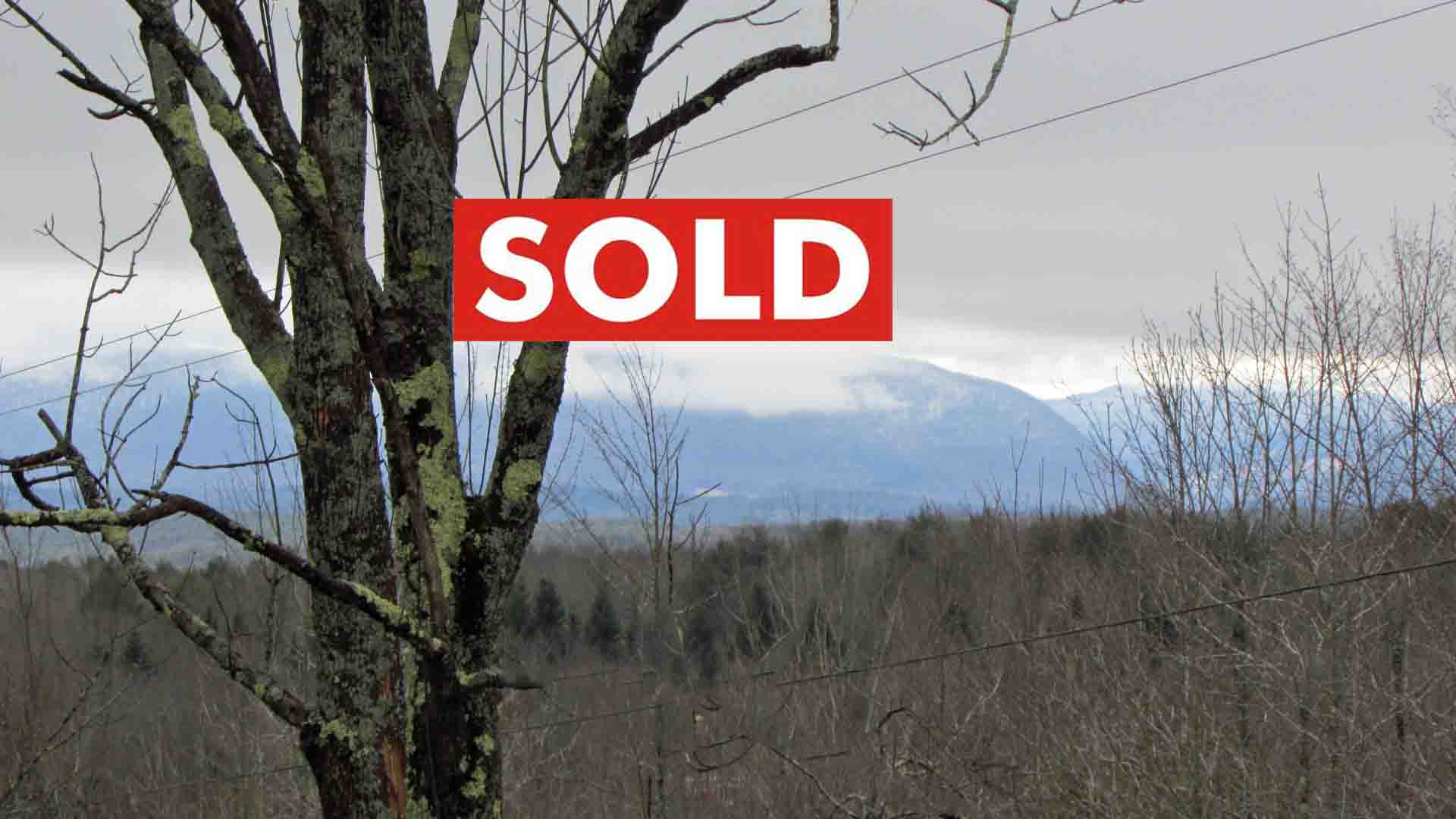 “PIECE of the PIE” 1.7 Acres Conesville NY Adjoining 100s acres DEP Land, Level/Wooded, Mt views, Sm. Stream, RVs OK, 3hrs/NYC – Only $14,900!