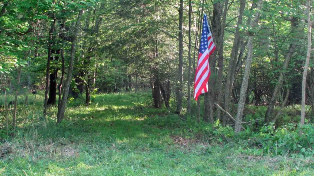 “NY’s FINEST” 5.27 acre Country Building Lot, Hurleyville, NY, Sullivan County – Level – Wooded – Spring fed wells – Electric – RVs OK – 2 hrs/NYC – Only $65,000!