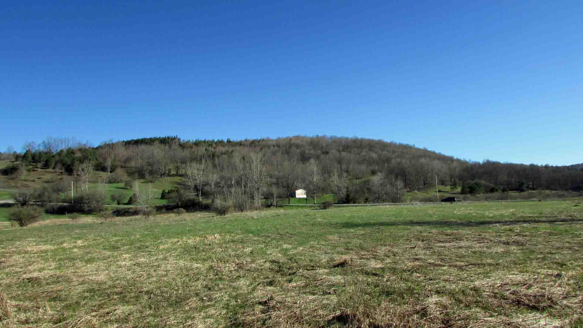 “The SUMMIT” 16 Country Acres, Summit NY – Creek – Mt Views – Woods & Fields – RVs OK – Mins to state land – 3 hrs/NYC- Only $59,900!!!!
