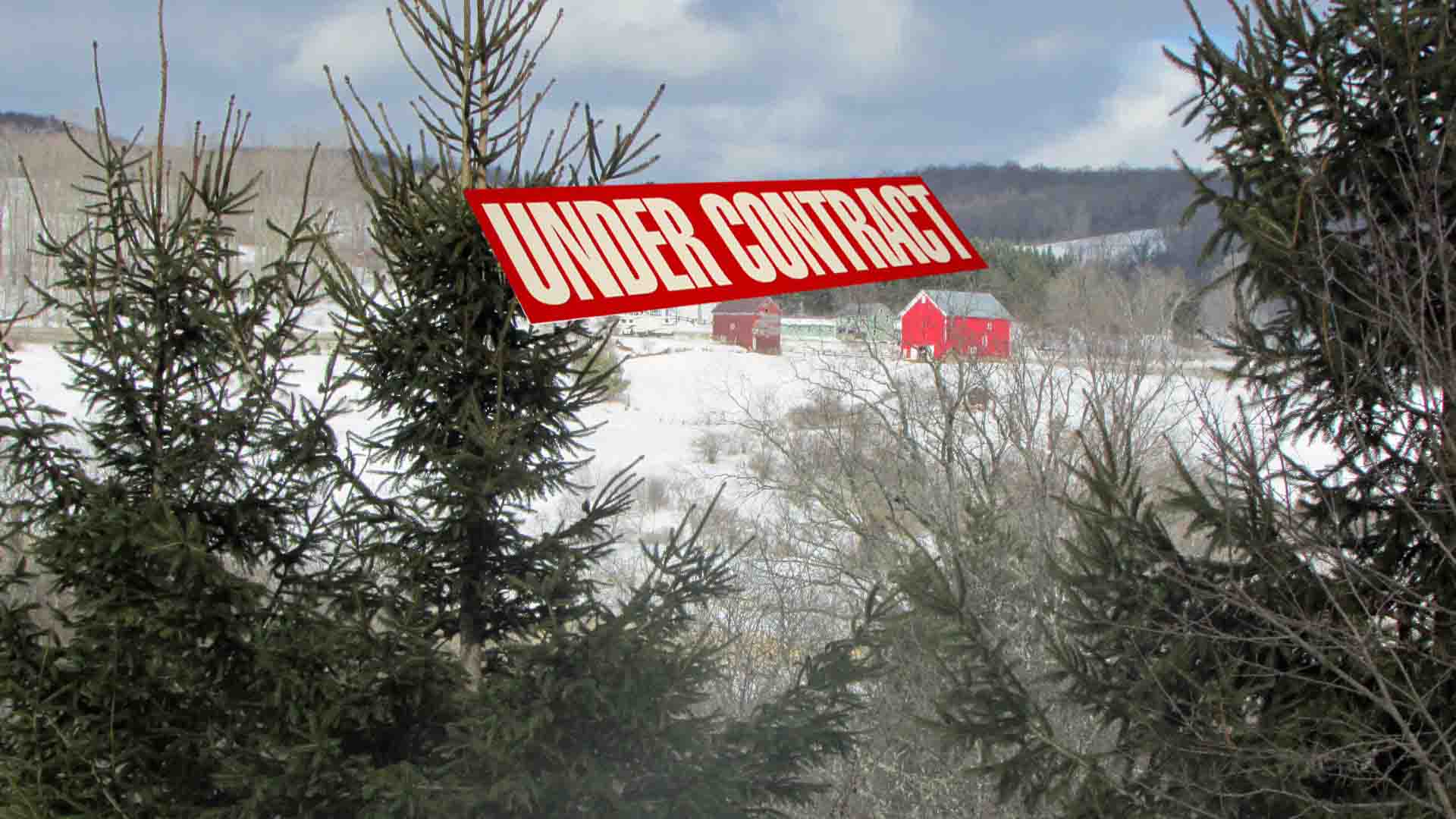 “IMAGINE” 3.87 Country Acres – Older Mobile home Ostego County – Well/Septic/Electric/Driveway – Mt views – Stream – 3.5 hrs/NYC – Only $29,900!