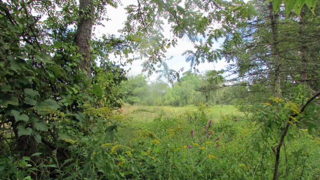 “SMALL WONDERS” .65 Acre Country Lot – Level – Electric – Lightly wooded – Great neighborhood – 5 mins to Metro North – 90 mins/NYC – $9,900!!!