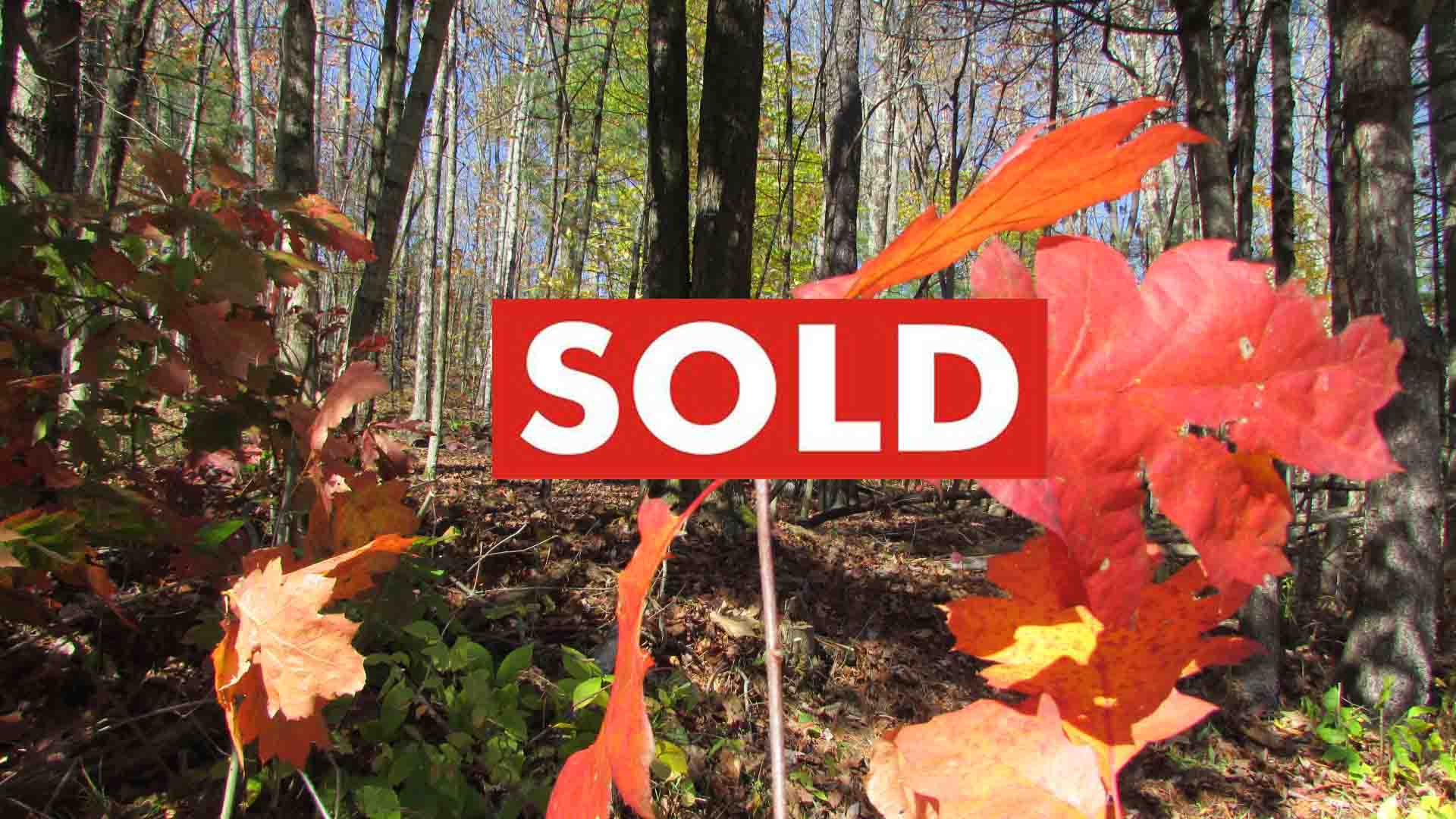 Enjoy 'FALL' in Fenton - 2.5 Country Acres...