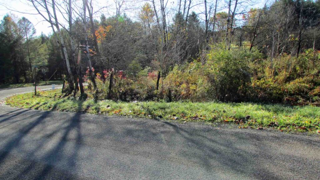 “COVENTRY CORNERS” – 1.35 Acre Prime Corner Building Lot, Coventry NY – Level – RVs OK – Electric – Good road – Sweet views – 3 hrs/NYC – Only $19,900!