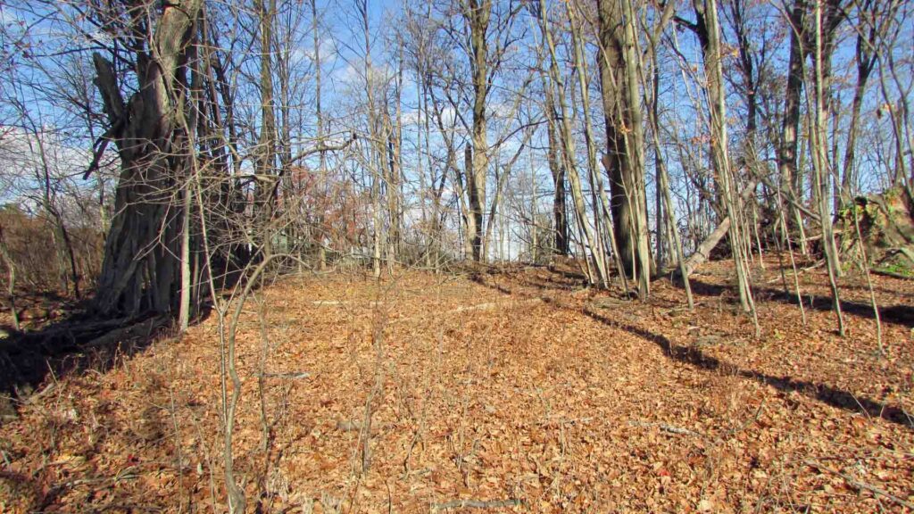 “MESA VERDE” – .45 Acre Building/Commercial Lot,  New Baltimore, NY – Greene County- Electric – Paved road – Muni. Water – Private Septic – Mountain views – Mins to town – 2 hrs/NYC – Only $25,900