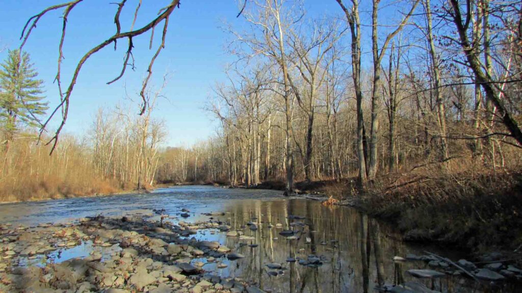 “REFLECTIONS” – 1.47 Acre Waterfront Lot, Florida/Amsterdam, NY – Electric – Maintained town road – Schoharie Creek WATERFRONT! – Fishing/Hunting Haven – Mins to town – 3 hrs/NYC – ONLY $15,900