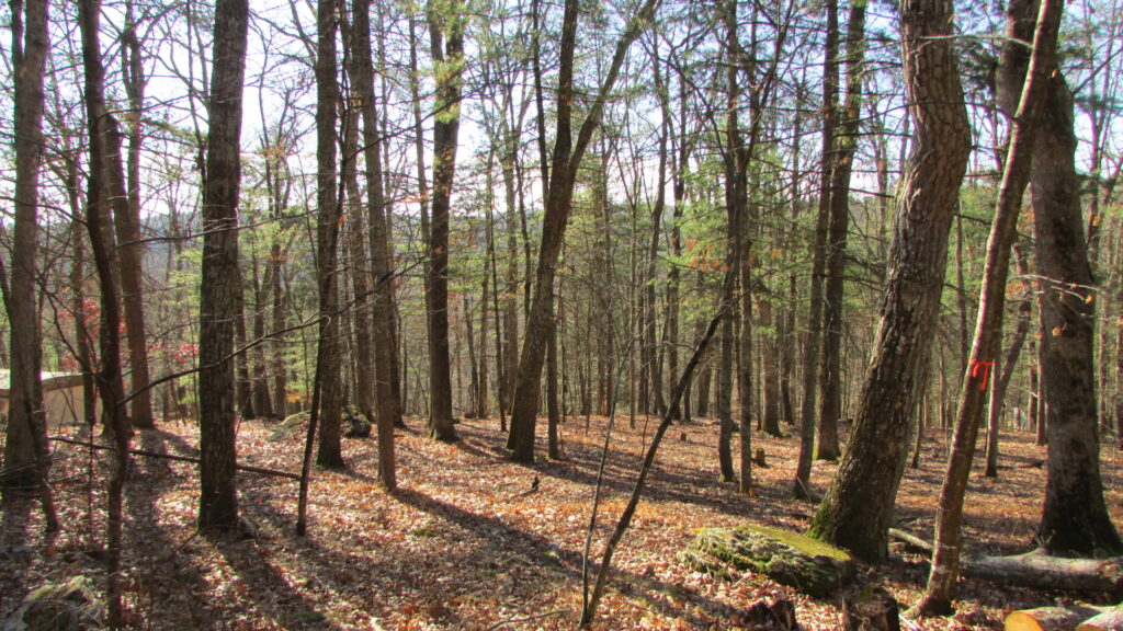 “HIGHLAND HEIGHTS” – 2.9 Acre Building Lot Highland, NY Sullivan County – Level to Rolling Terrain- Wooded – Electric – Private rd. – Mt. views- Walk to Delaware River -2 hrs/NYC – Only $29,900!