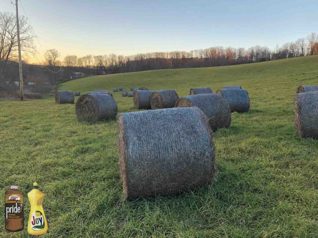“PRIDE & JOY” 2 Parcels Land – 3+ Acres Each, Madison County – Cleared – Level/Rolling Grasslands – Mt & Lake views – Electric – RVs OK – 3.5 hrs/GWB!