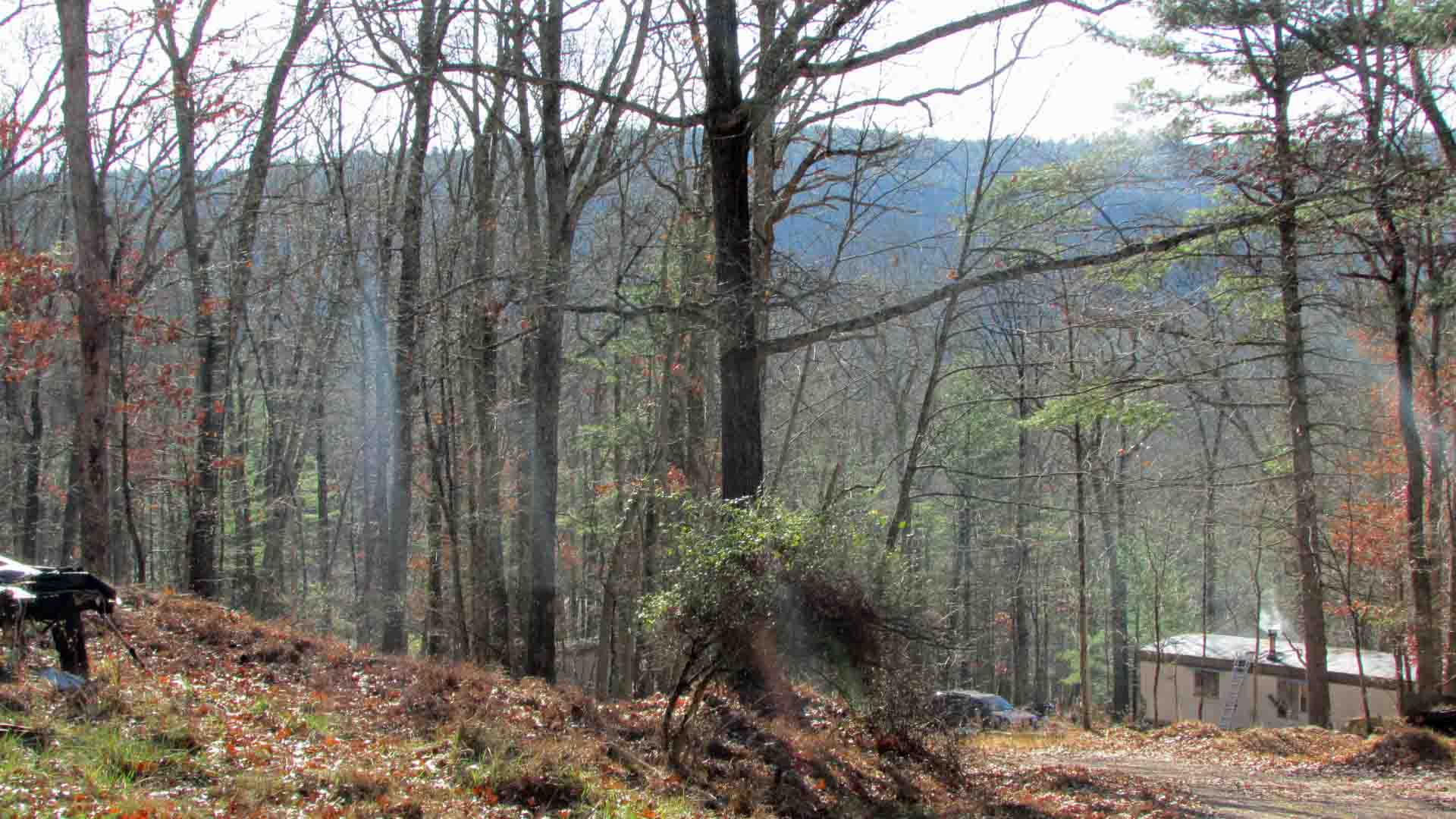 “HIGHLAND HEIGHTS” – 2.9 Acre Building Lot Highland, NY Sullivan County – Level to Rolling Terrain- Wooded – Well – Electric – Private rd. – Mt. views- Walk to Delaware River -2 hrs/NYC – Only $29,900!
