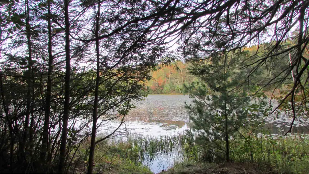 “Fresh Lot of Belair” .46 Acre Lot Lumberland, Sullivan County – Level – Wooded – Priv road – Electric – LAKE RIGHTS! – 2 hrs/NYC – Only $19,900!