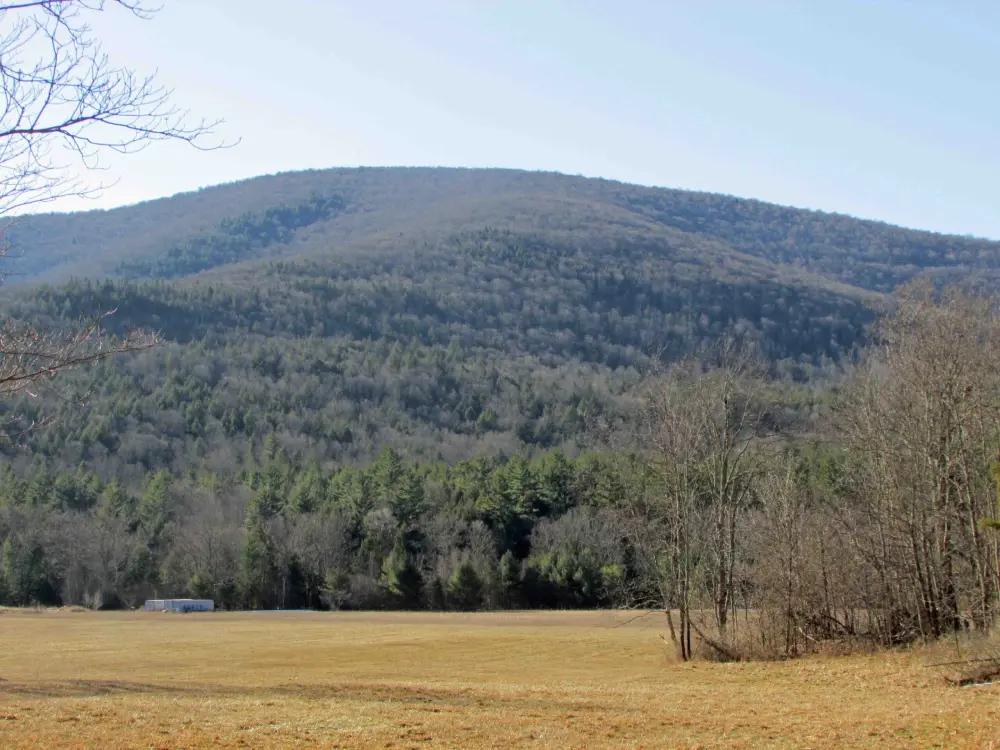 “NATURE’S BOUNTY” Country Building Lot Jewett/Hunter, NY – Mt. & River views – 5 mins/Hunter Ski – Electric – RVs OK – Town rd. – 2 1/2 hrs/NYC – $29,900