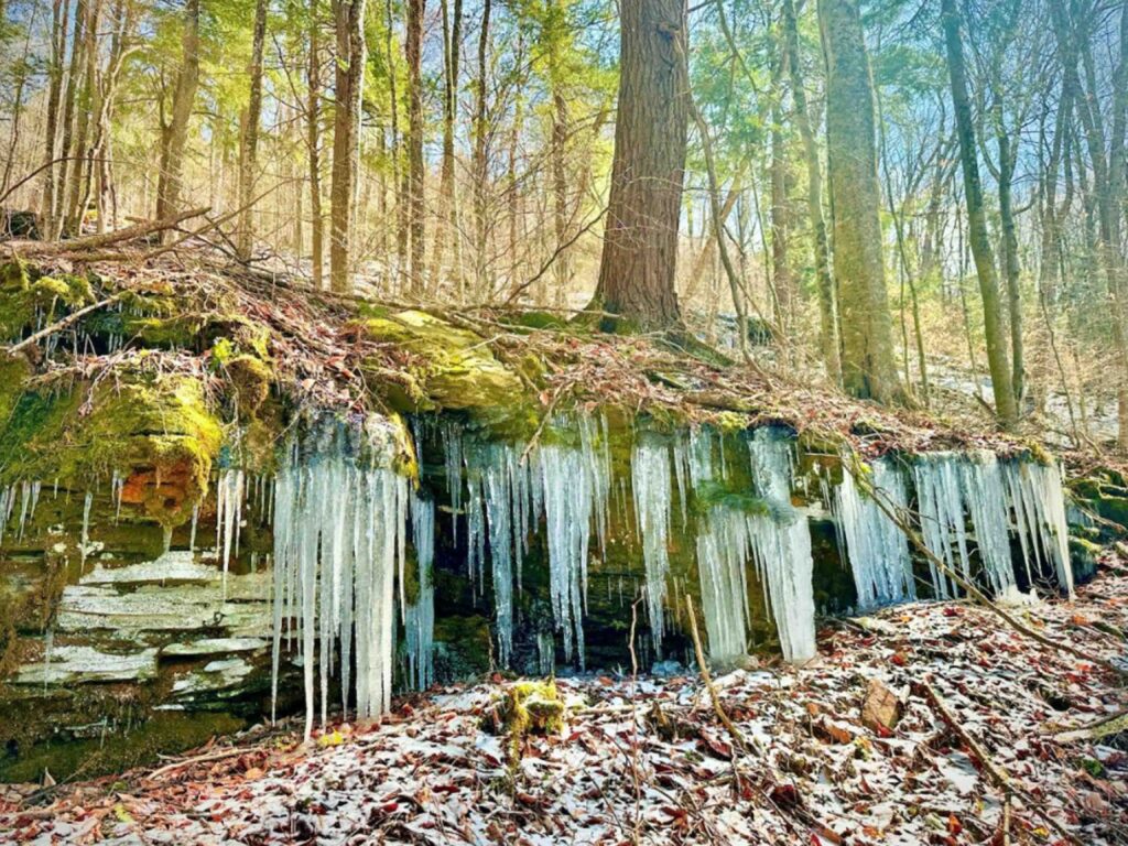 “The GOOD LIFE” 6+ Country Acres Margaretville NY – 440 ft frontage – Part level/elevated – Electric – Mt views – Mins to town – 2.5 hrs/NYC – Only $29.9k