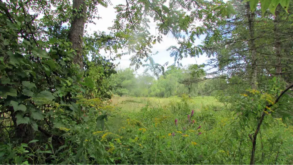 SMALL WONDERS .82 Acre Country Lot – Level – Electric – Lightly wooded – Great neighborhood – 5 mins to Metro North – 90 mins/NYC – $9,900!!!