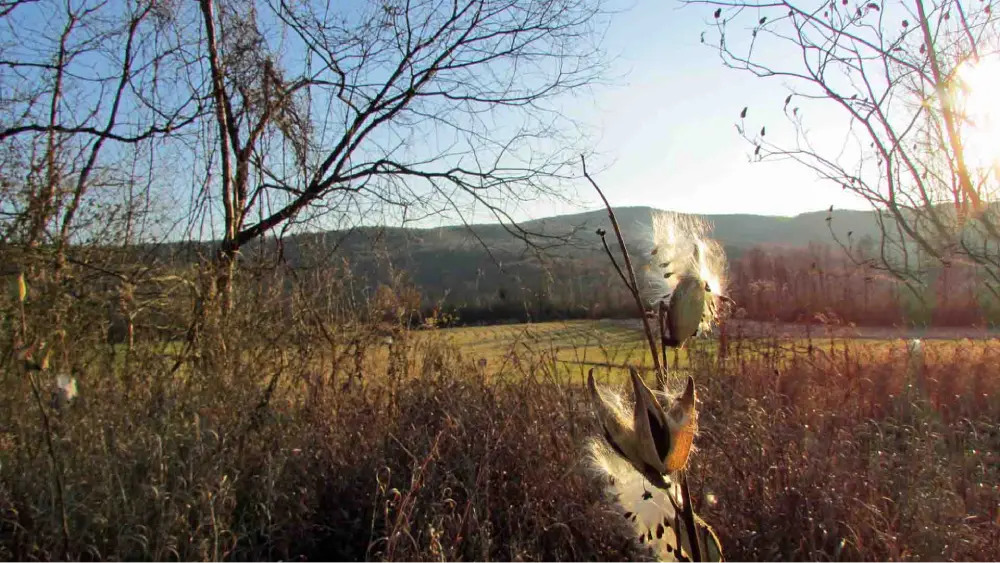 The “OTHER ONE” 2.11 Cosmic ✌Acres Richmondville NY – Corner Building Lot – Electric – Mt views – RVs OK! Mins/Cobleskill 3 hr/NYC – Only $29,900!