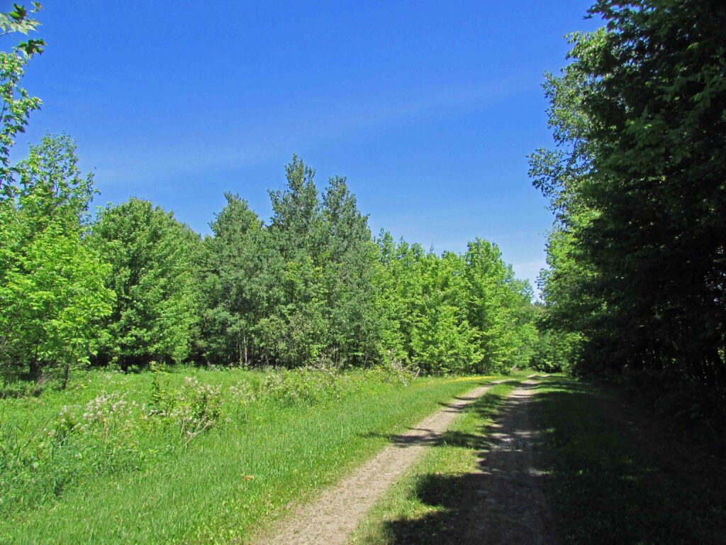 “COUNTRY ROADS” 5.45 Acres on Country Road – Level – Wooded – Private – Electric – 1000 ft road frontage – RVS OK – 3/hrs/NYC – Only $34,900!